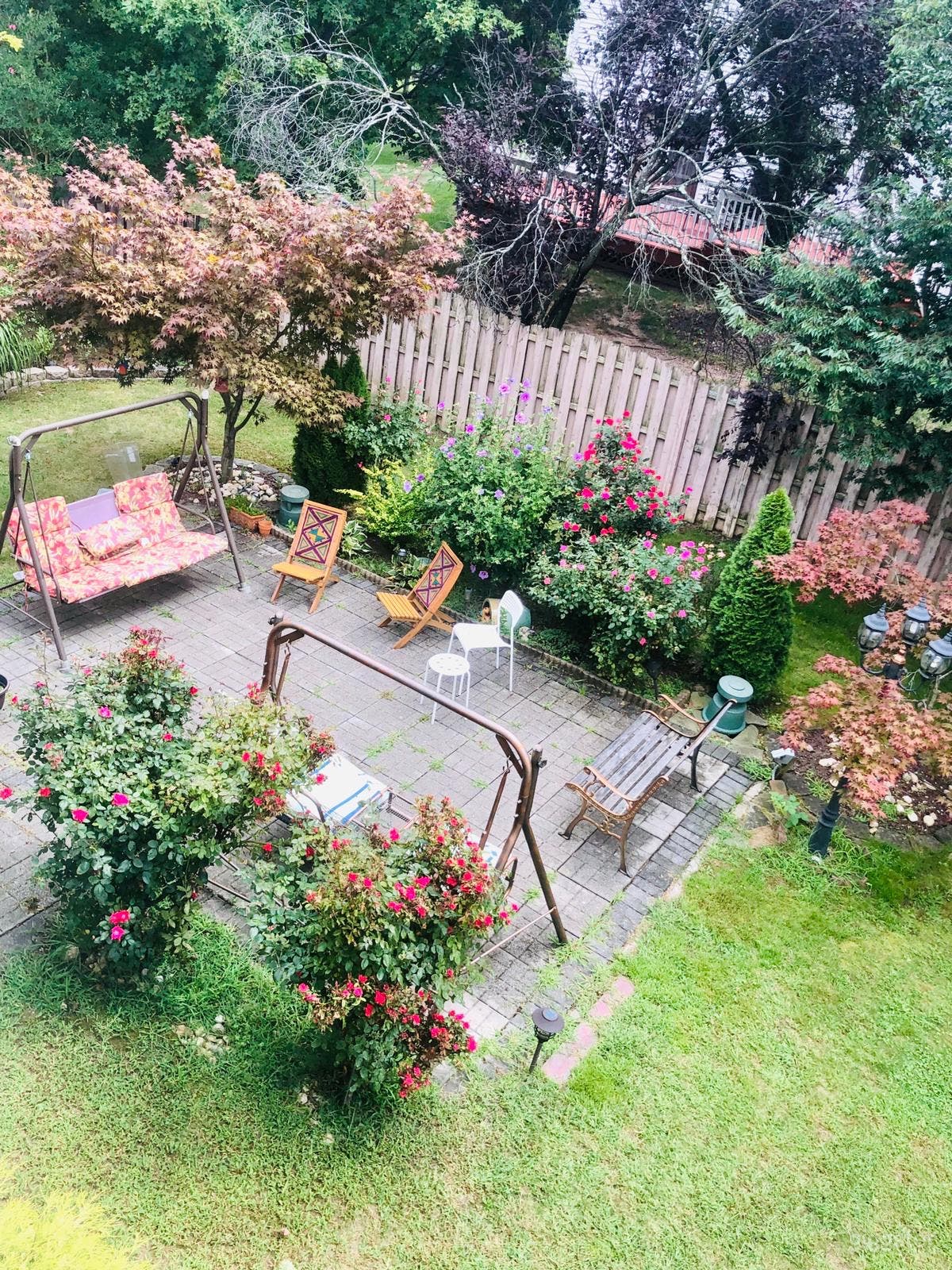 Sunny beautiful House with backyard Photo 3