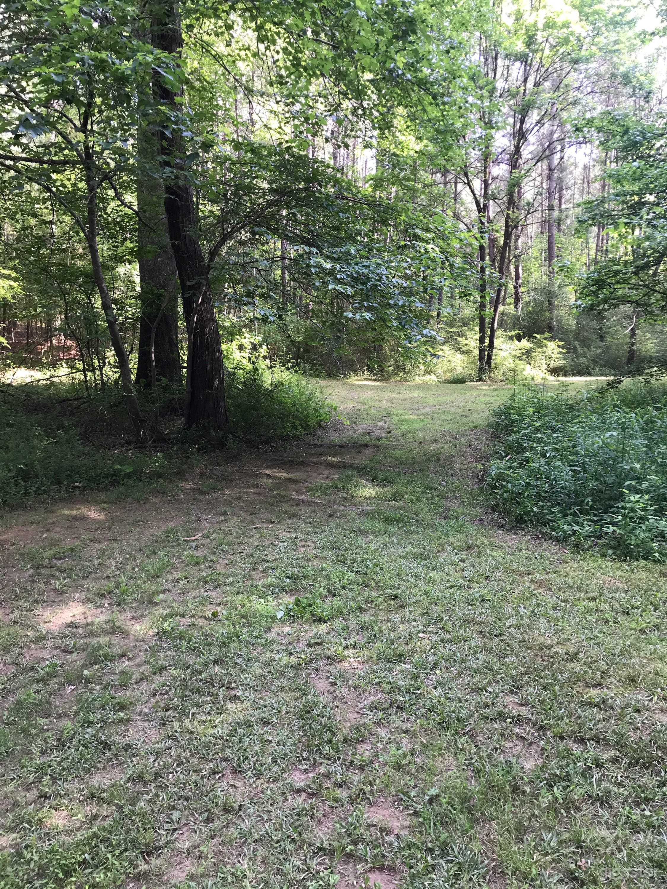 Large 9 Acre Filming Compound Photo 4