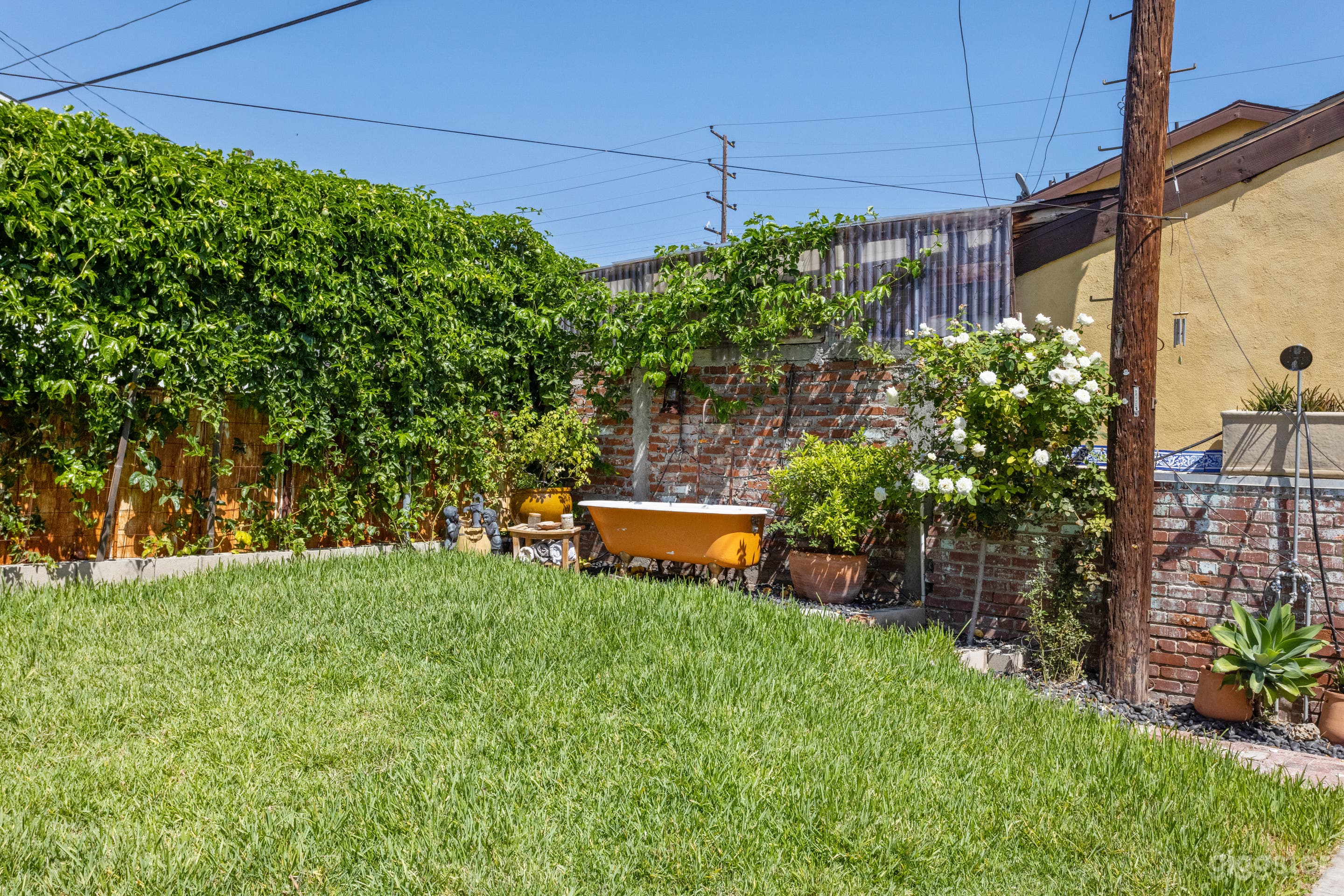 The Cedar Art Photo 3