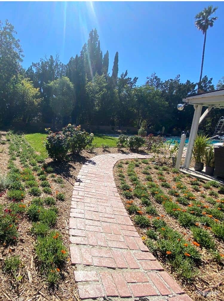  Charming pool complete with a slide and diving board 