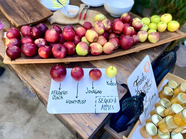  Tranquil Creek Garden  