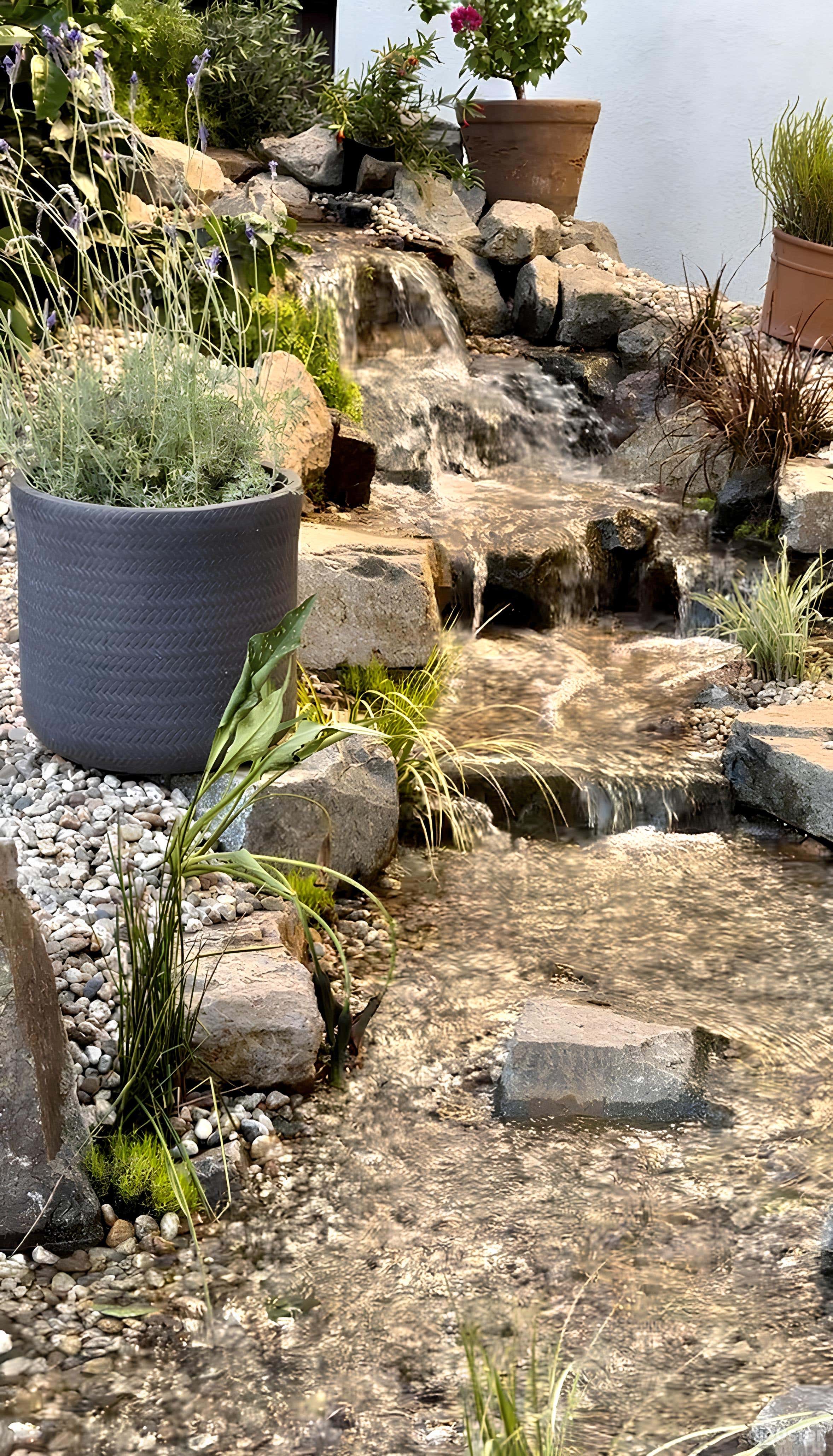 Tranquil Creek Garden  Photo 4