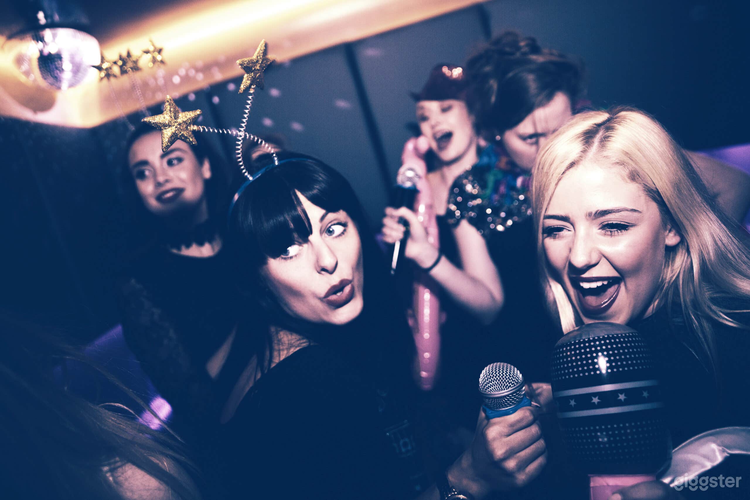 Karaoke Room Hire Photo 4