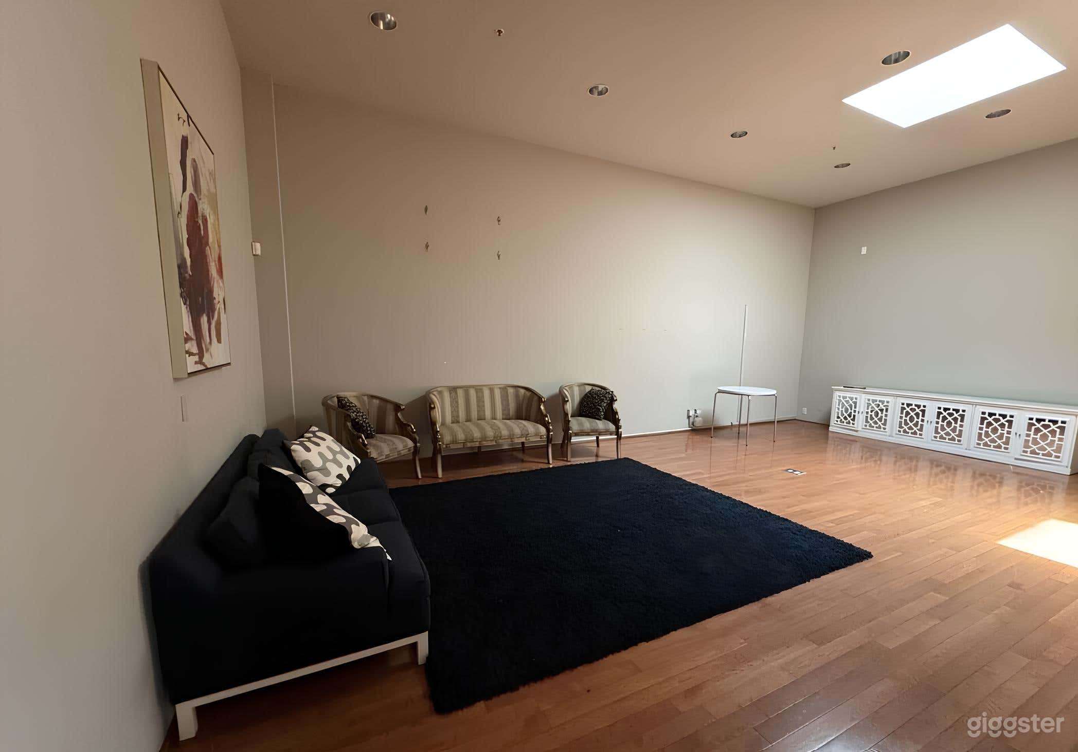 Spacious Conference Rooms for Filming Photo 3