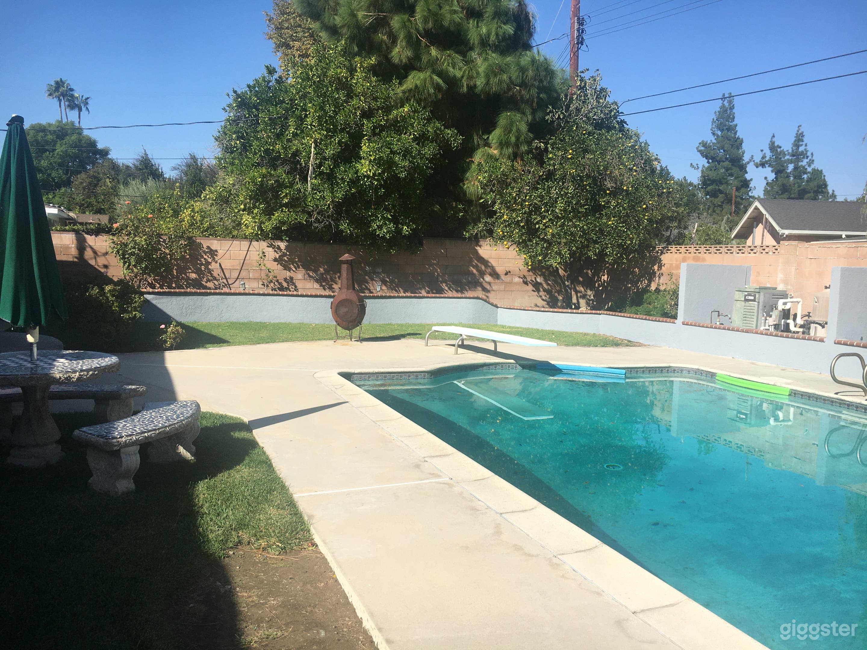 pool, diving board and fruit tree