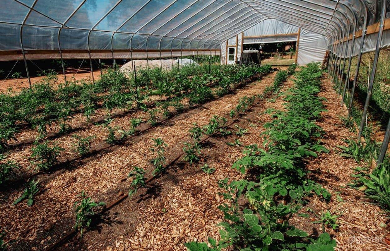 1900 Colonial Style Farm to Table Restaurant  Photo 2