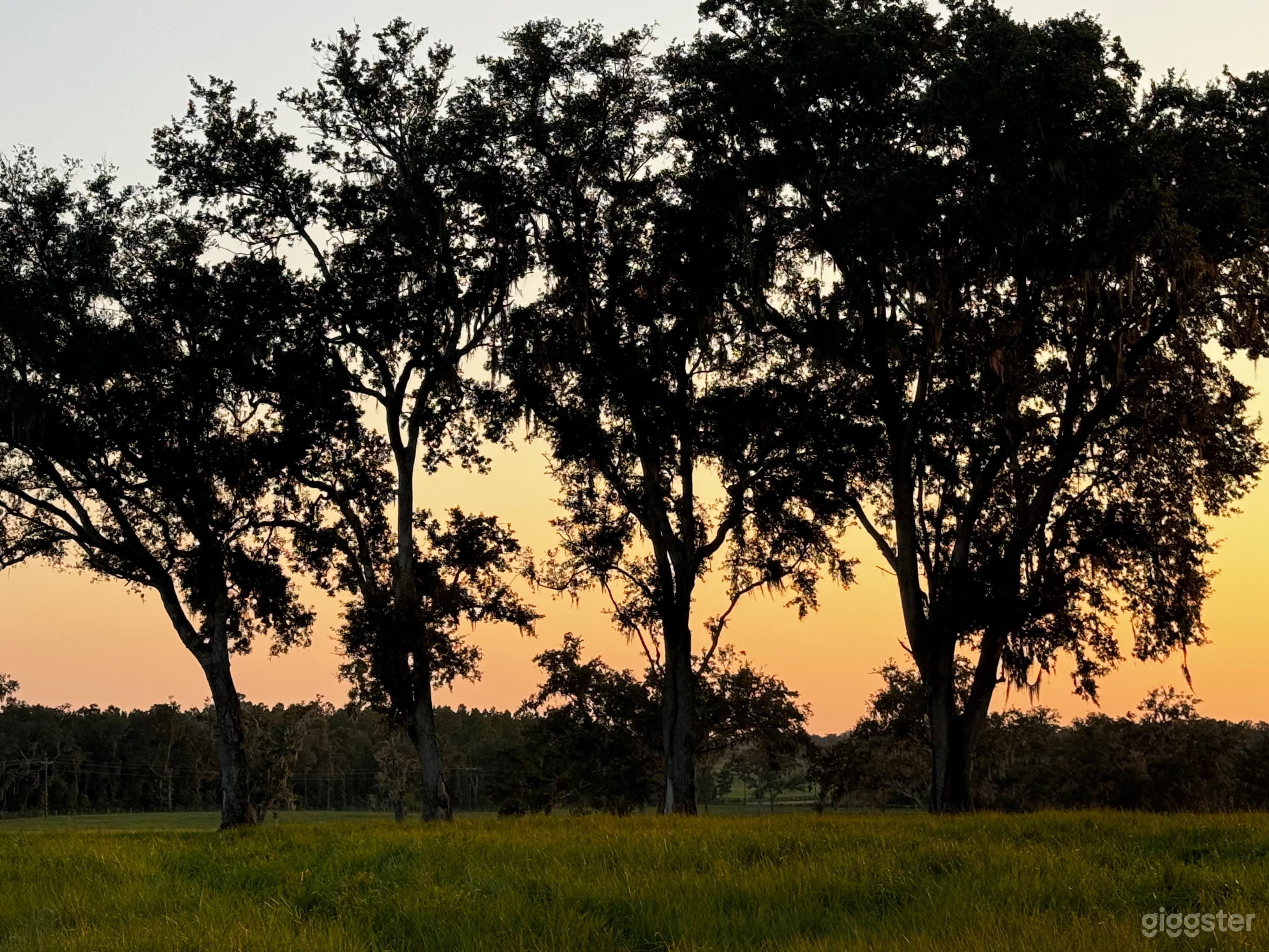 Sunsets are beautiful