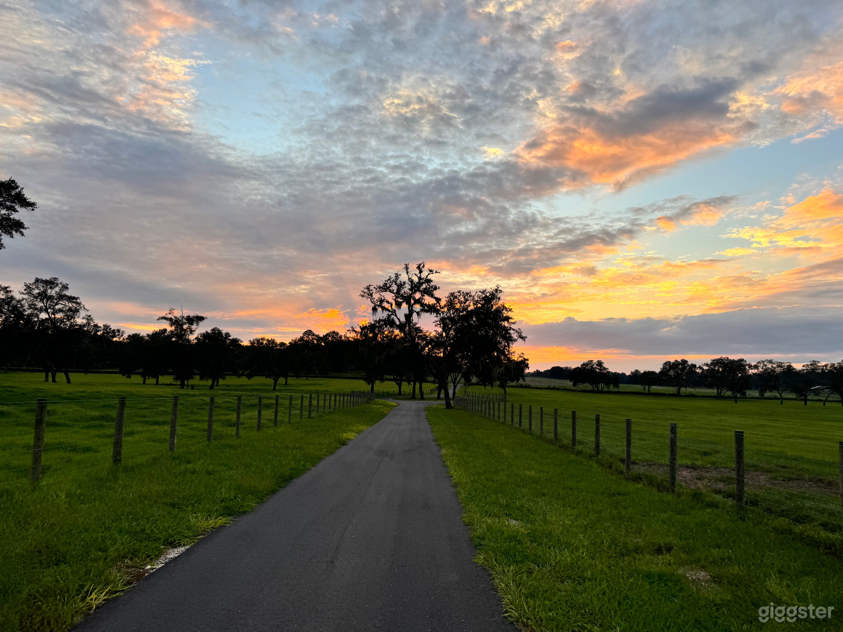 Winding paved driveway