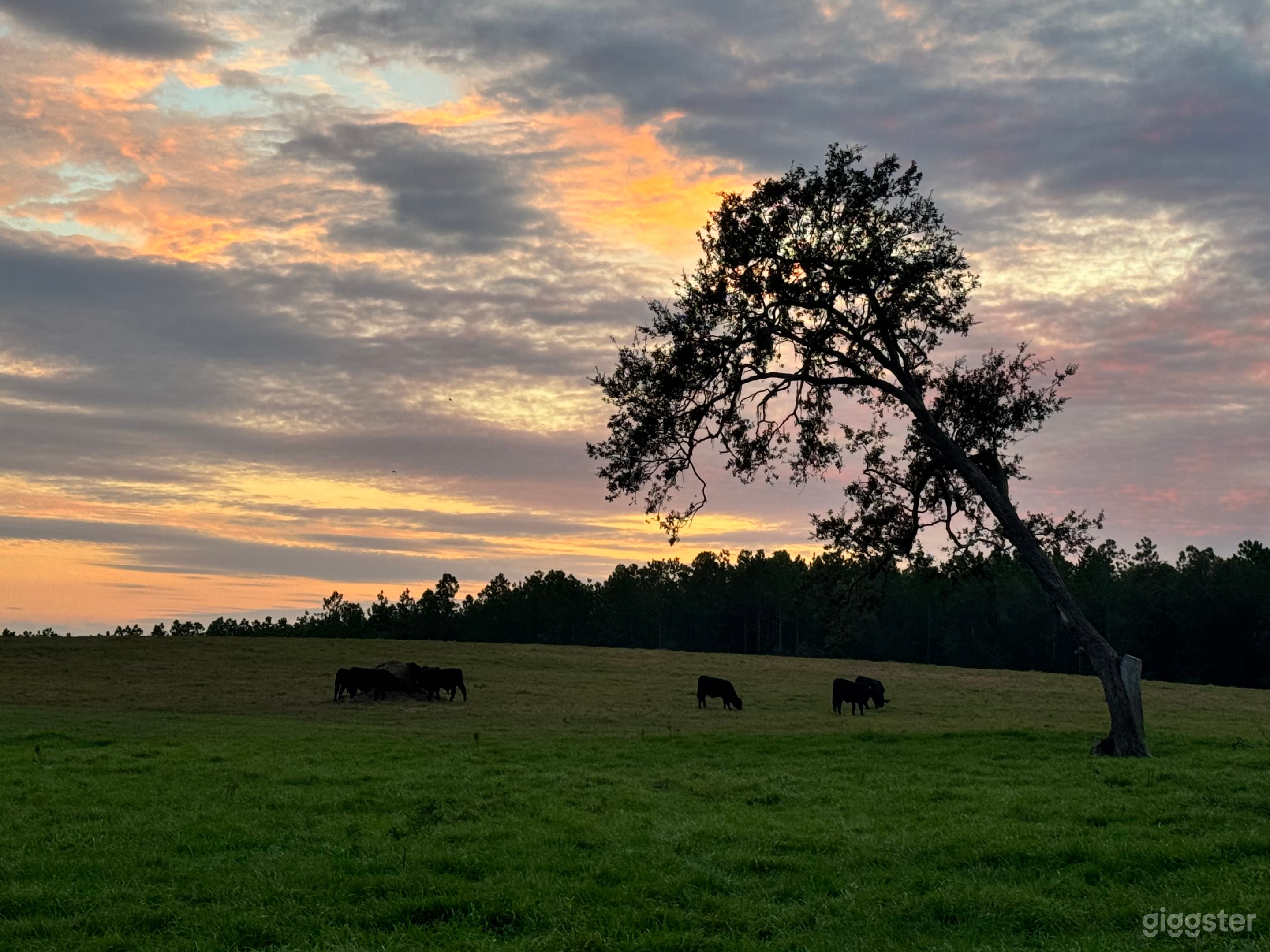 Pastures in the unique Florida hills