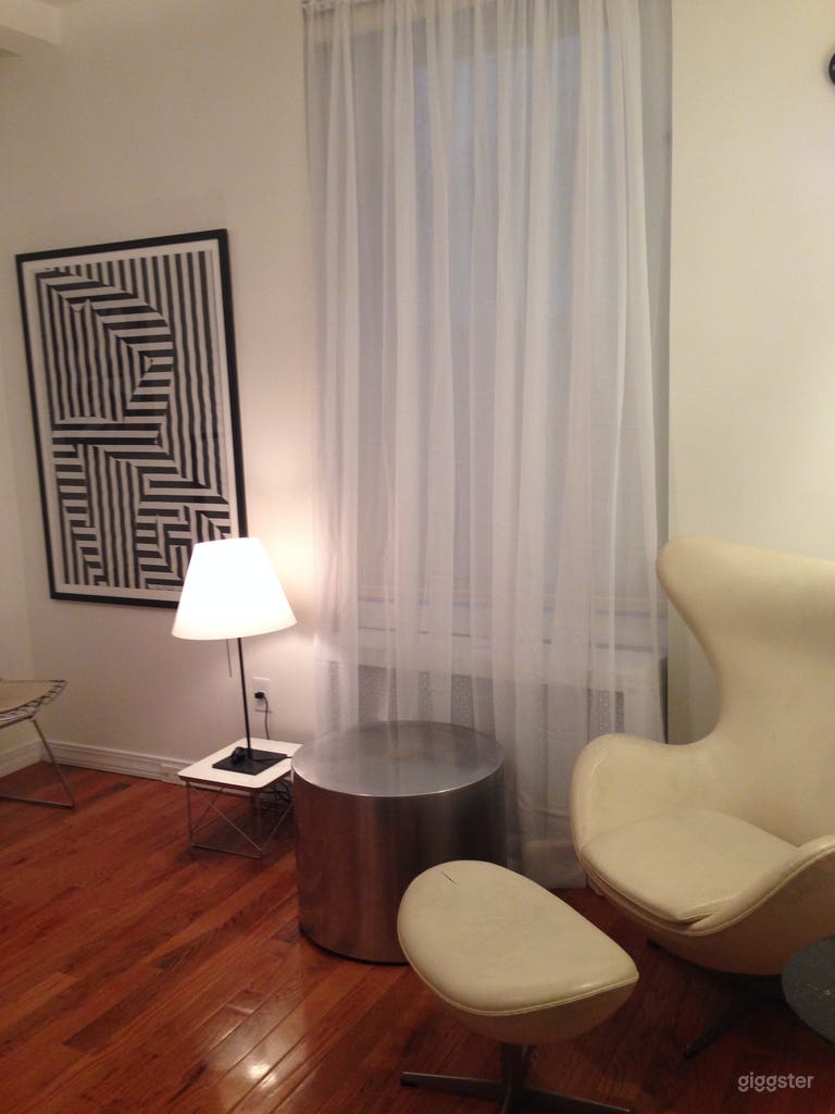  Arnie Jackobson Egg Chair under serge mollie Black Powder coated Light
 