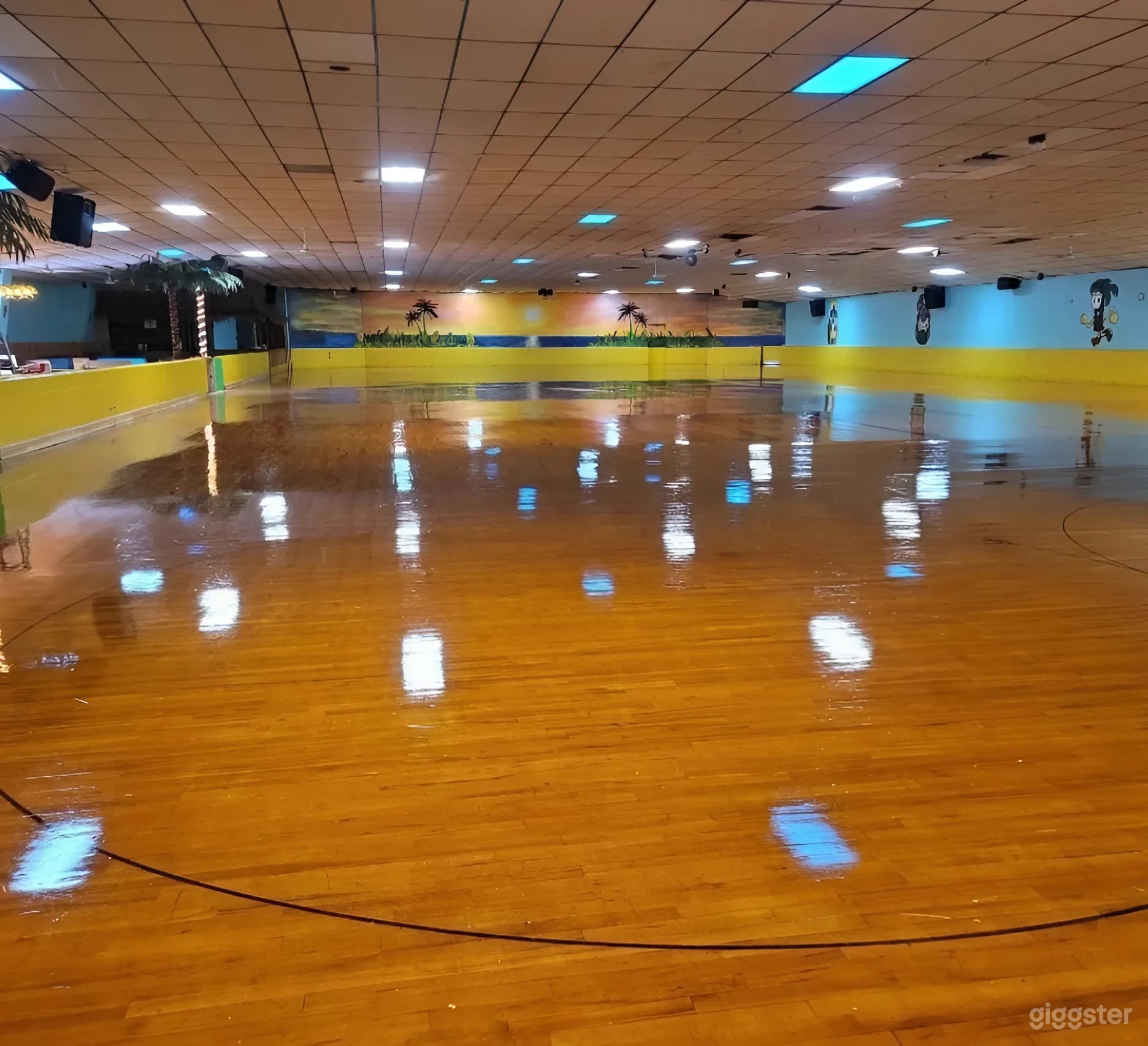 Family-Owned Roller Skating Rink – Perfect for Parties, Lessons, and Fun Photo 1