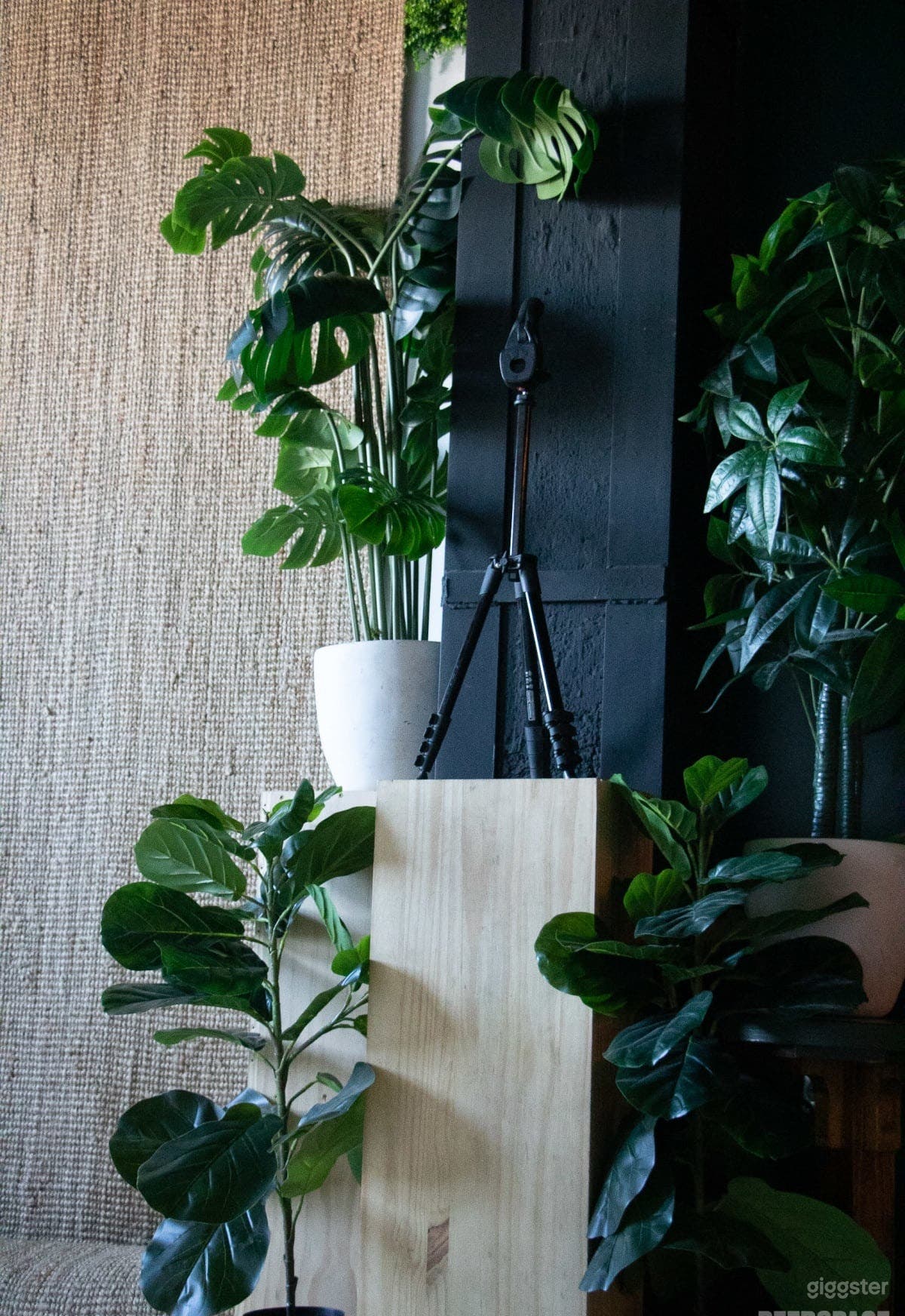 Cozy &amp; Chic Photo Studio + Office Space Photo 4