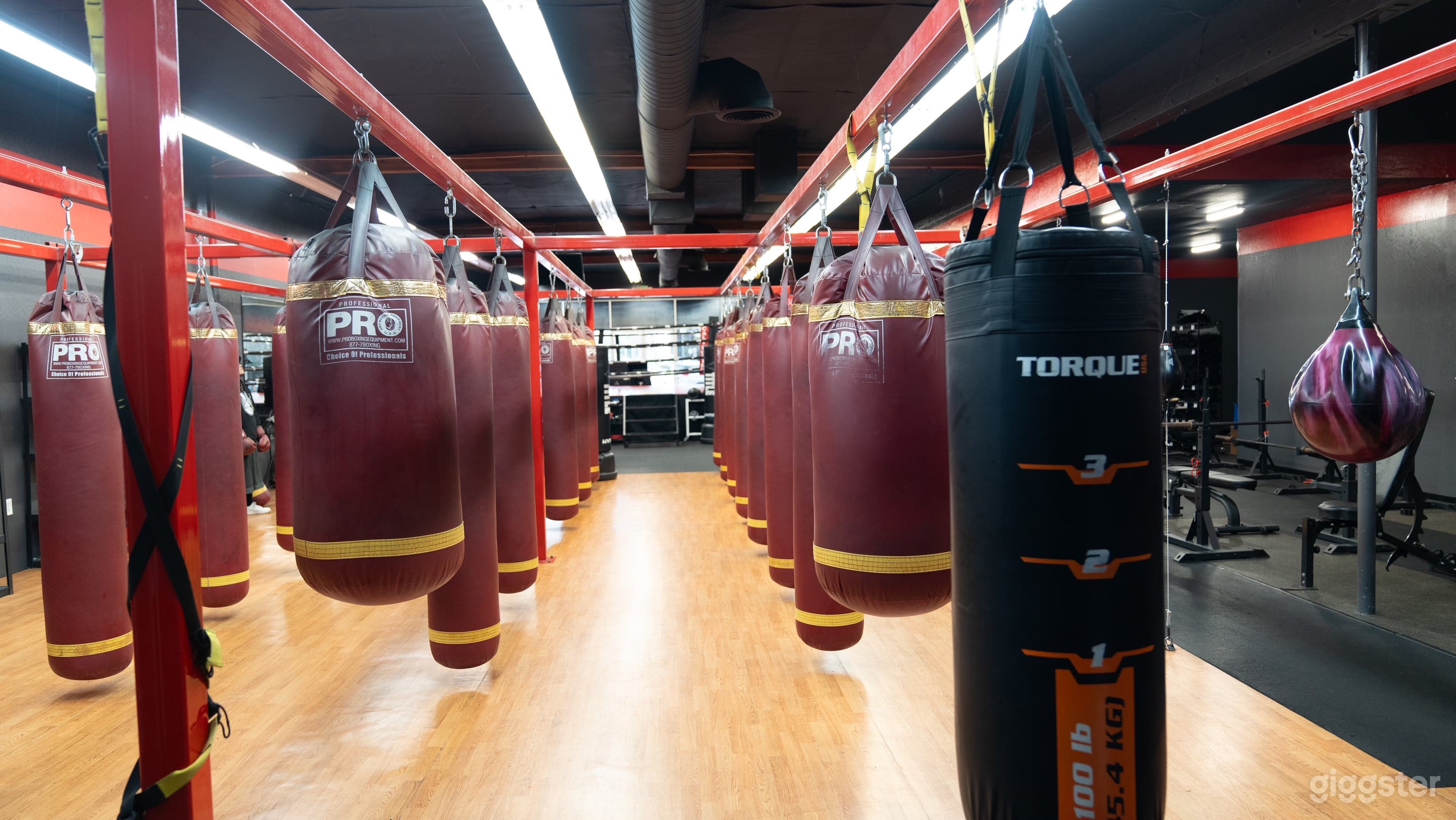 Variety of Boxing Bags