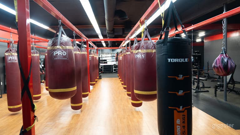  Variety of Boxing Bags 