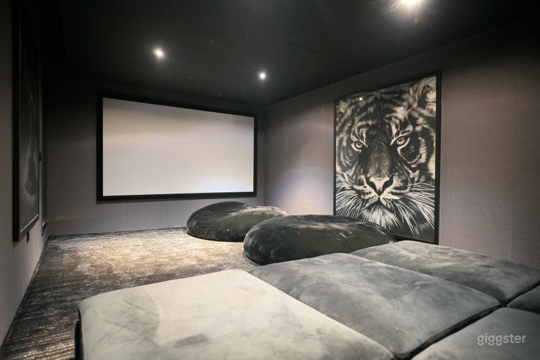  Luxurious 5,200+ Sq Ft Estate with Home Theater & Pool  