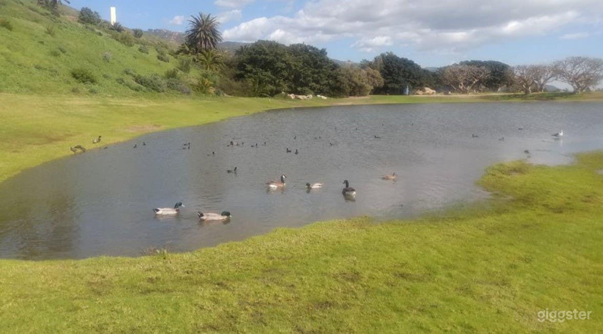 Alumni Park Photo 4