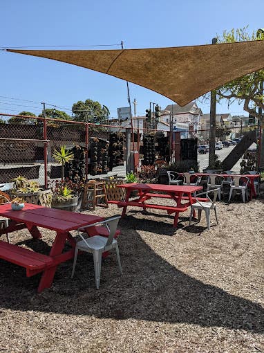 Sunny Beer Garden and Pizzeria in San Francisco Photo 3