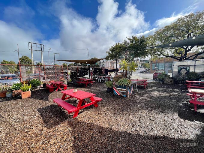  Sunny Beer Garden and Pizzeria in San Francisco 