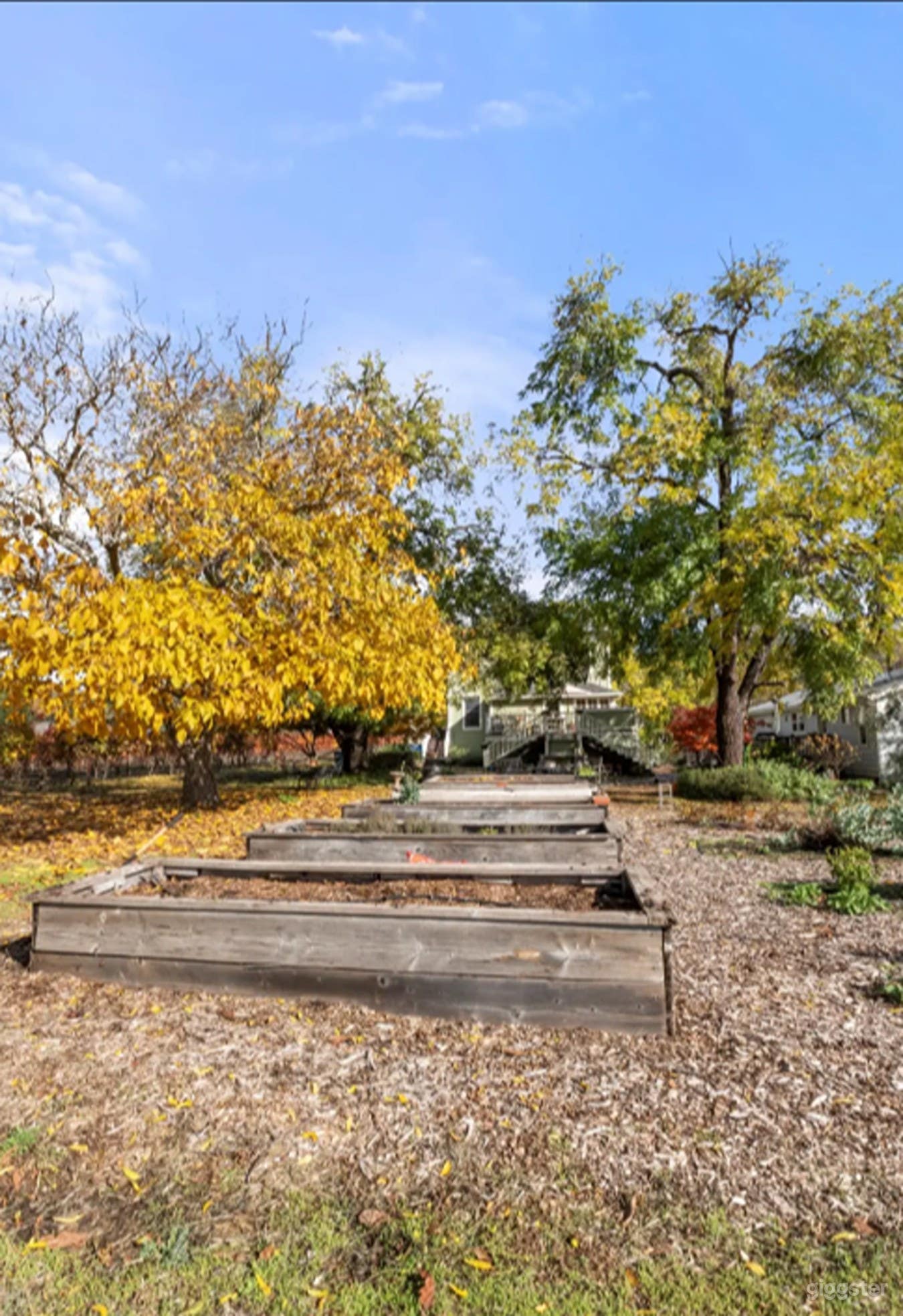 Breathtaking Backyard Retreat Photo 2