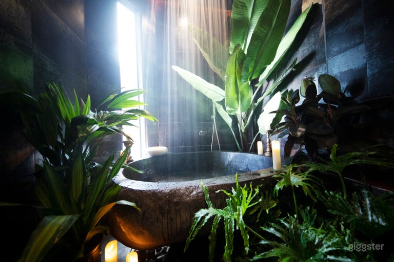  Oversize stone Balinese soaking tub with rainshower.  Can easily be propped to look like a garden of eden or jungle- spa bathroom. 