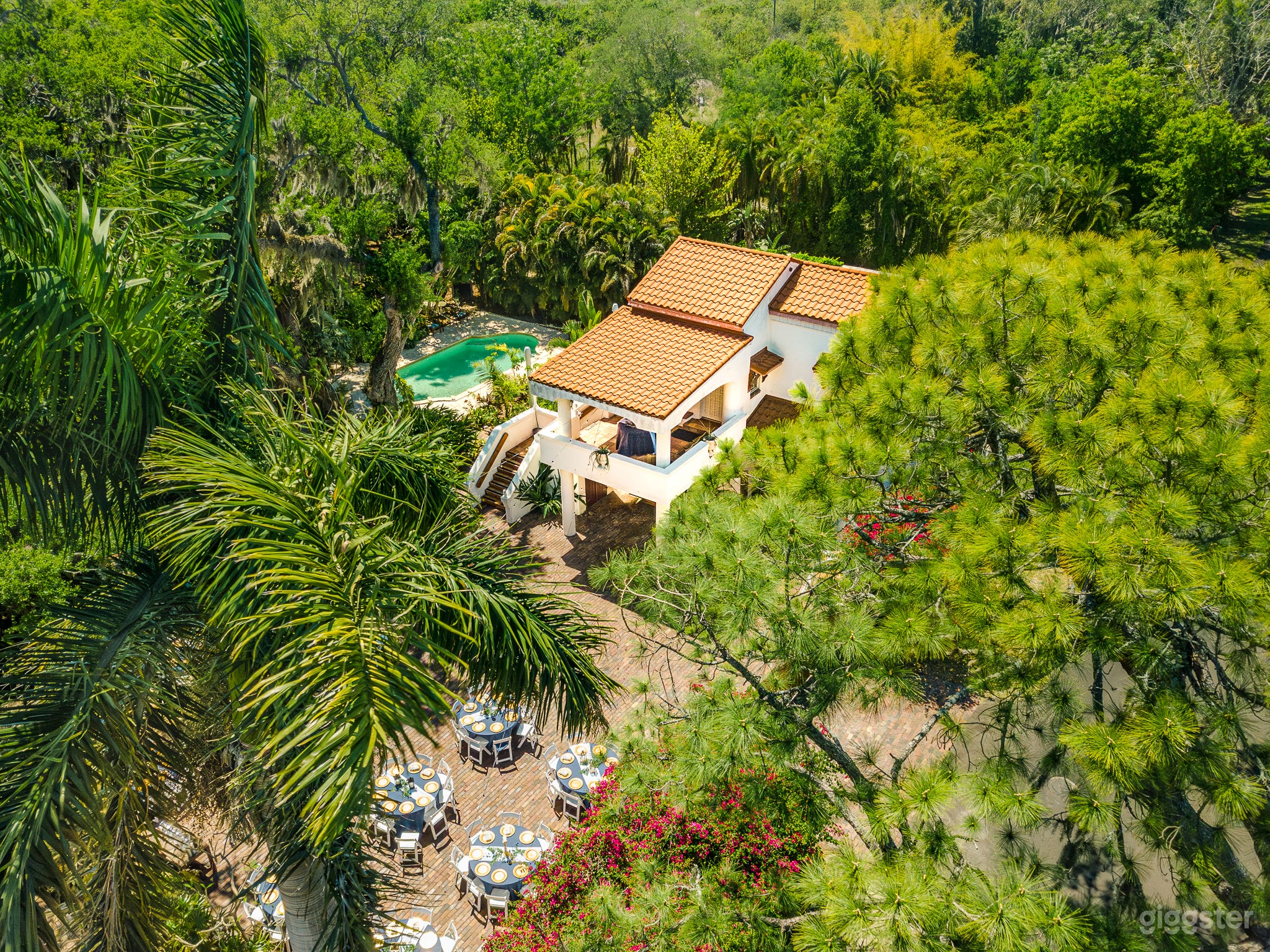 The Palmetto Estate Photo 1