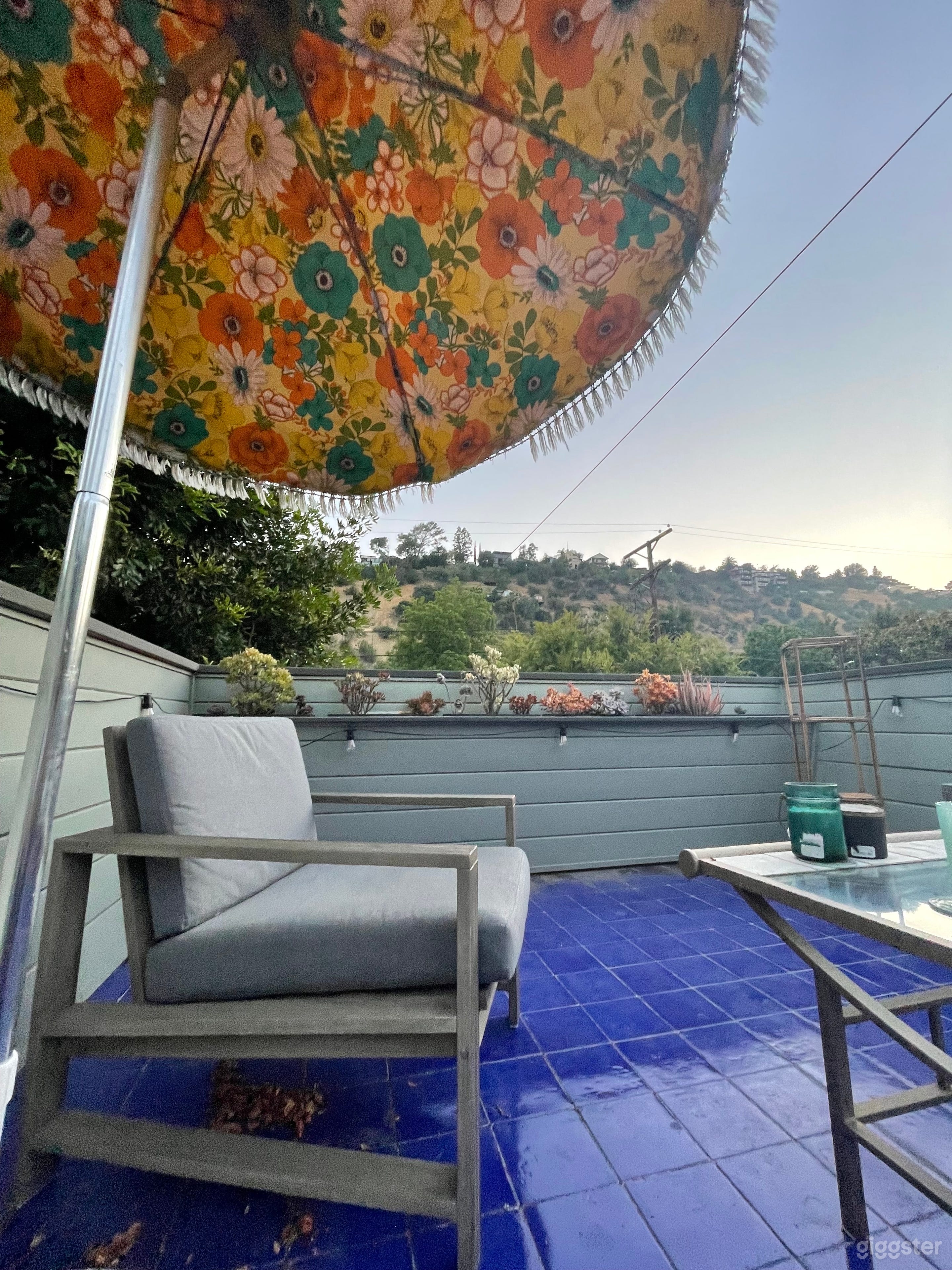 Parrot Patio & Oasis Photo 4