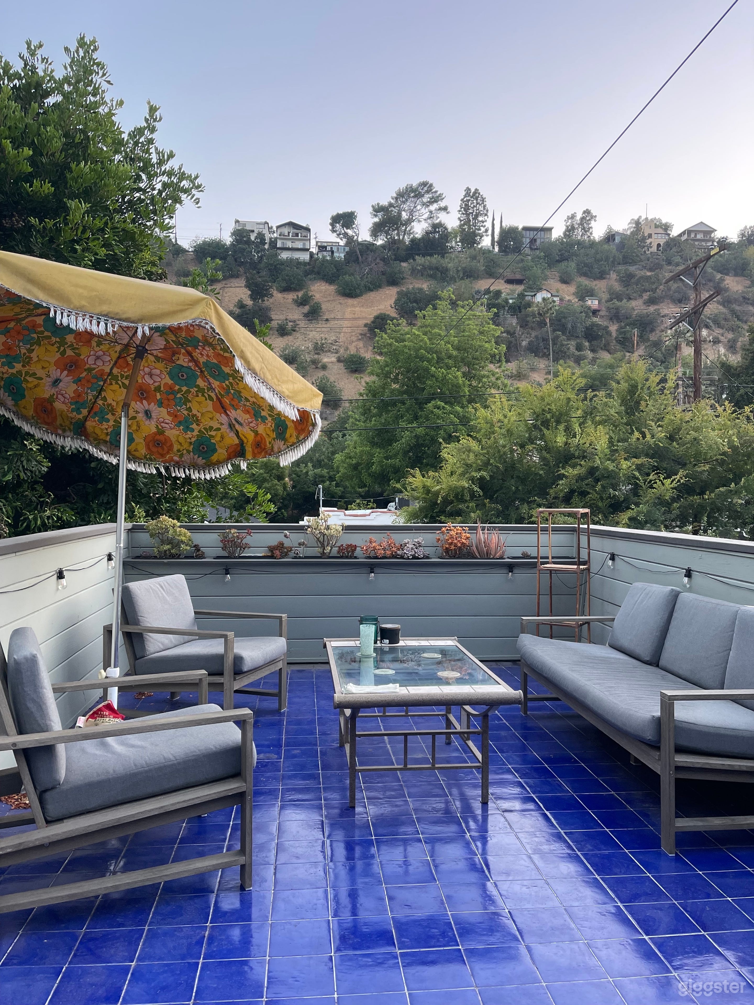 Parrot Patio & Oasis Photo 3