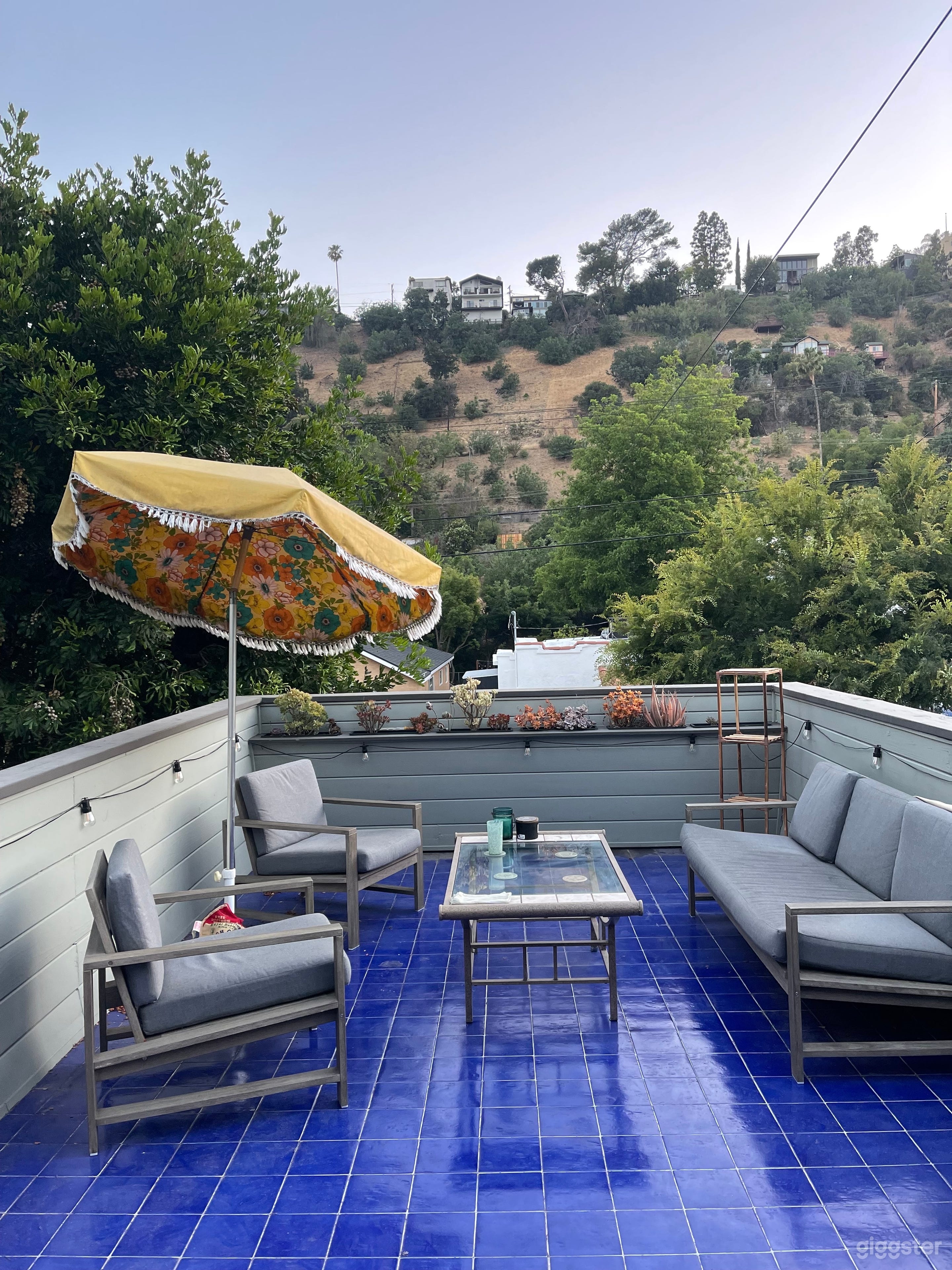 Parrot Patio & Oasis Photo 2