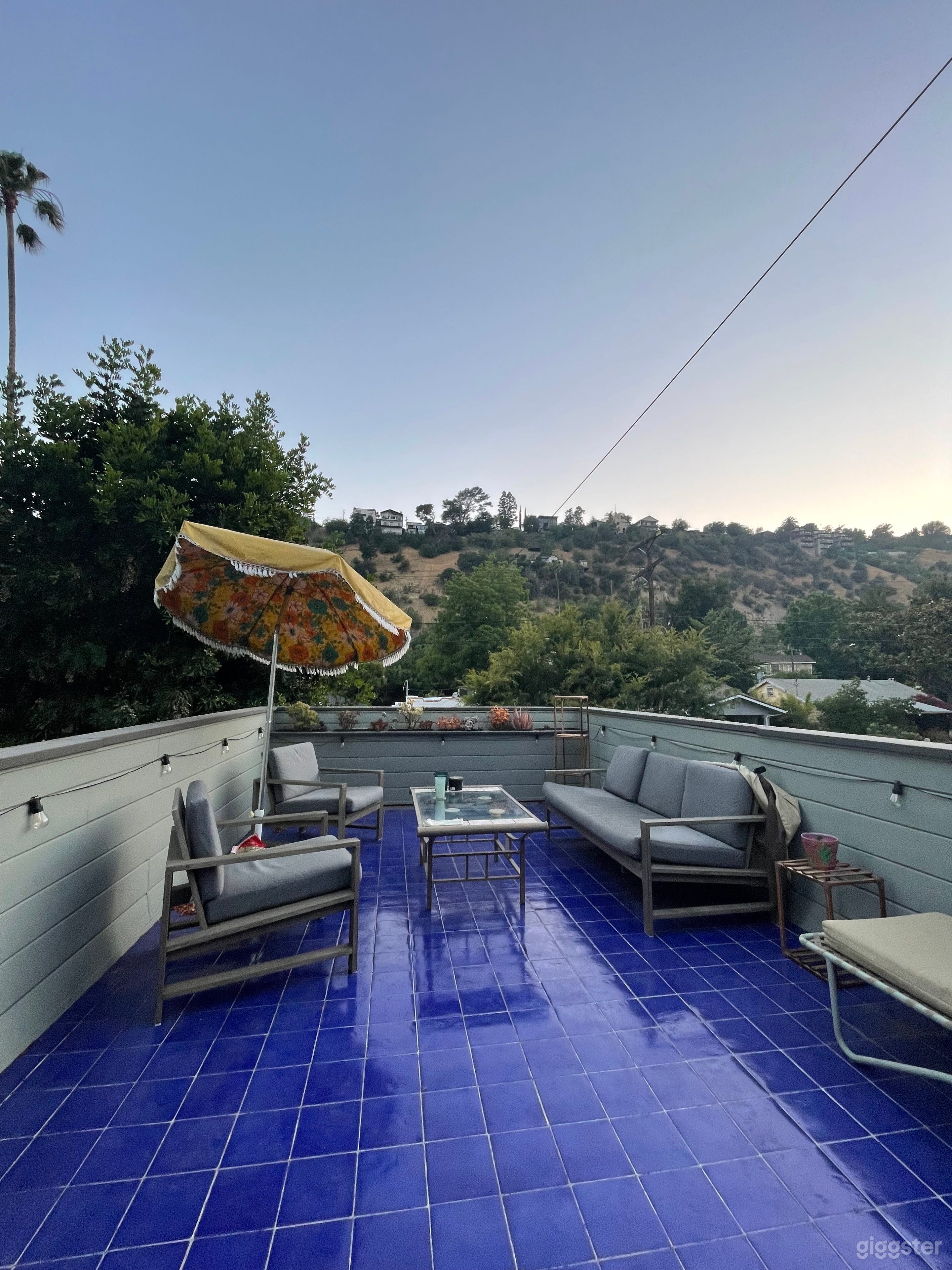 Parrot Patio & Oasis Photo 1