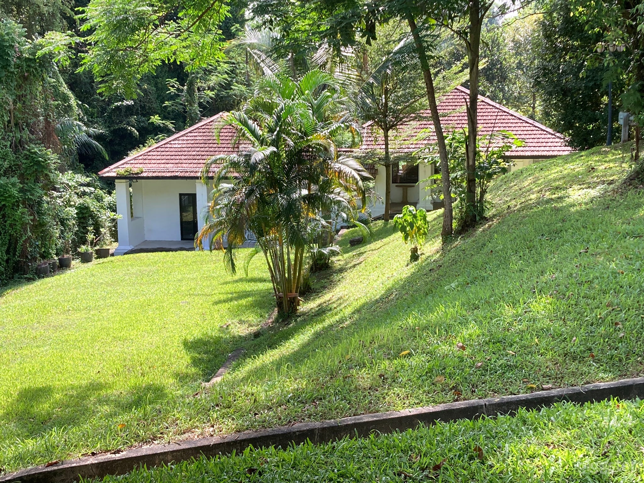 Dempsey, hidden in a gully, surrounded by greenery Photo 1