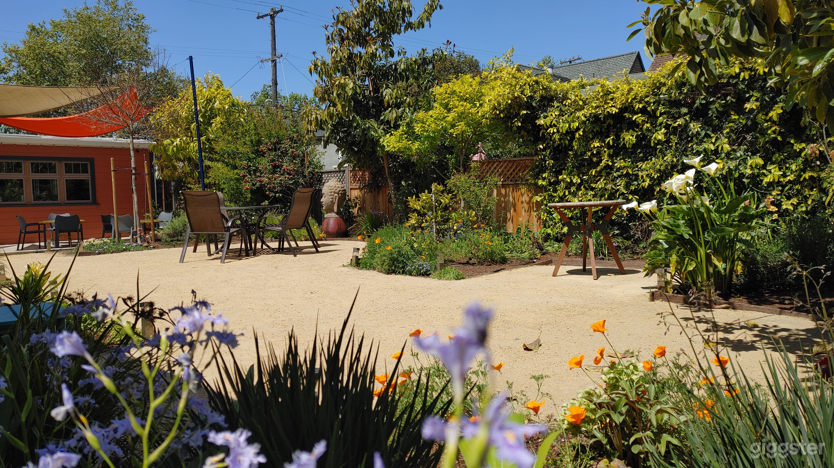 Spacious Outdoor Patio in Berkeley Photo 1