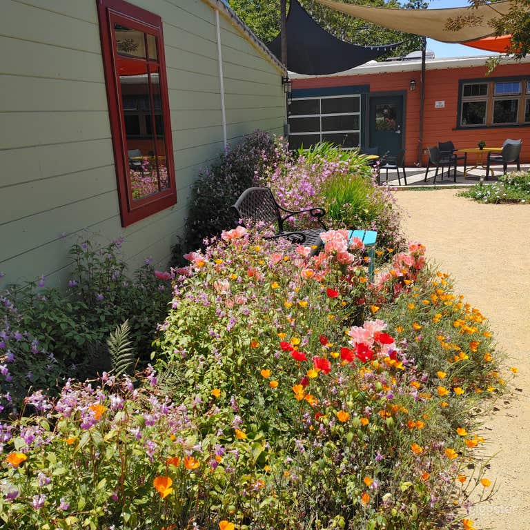  Spacious Outdoor Patio in Berkeley 