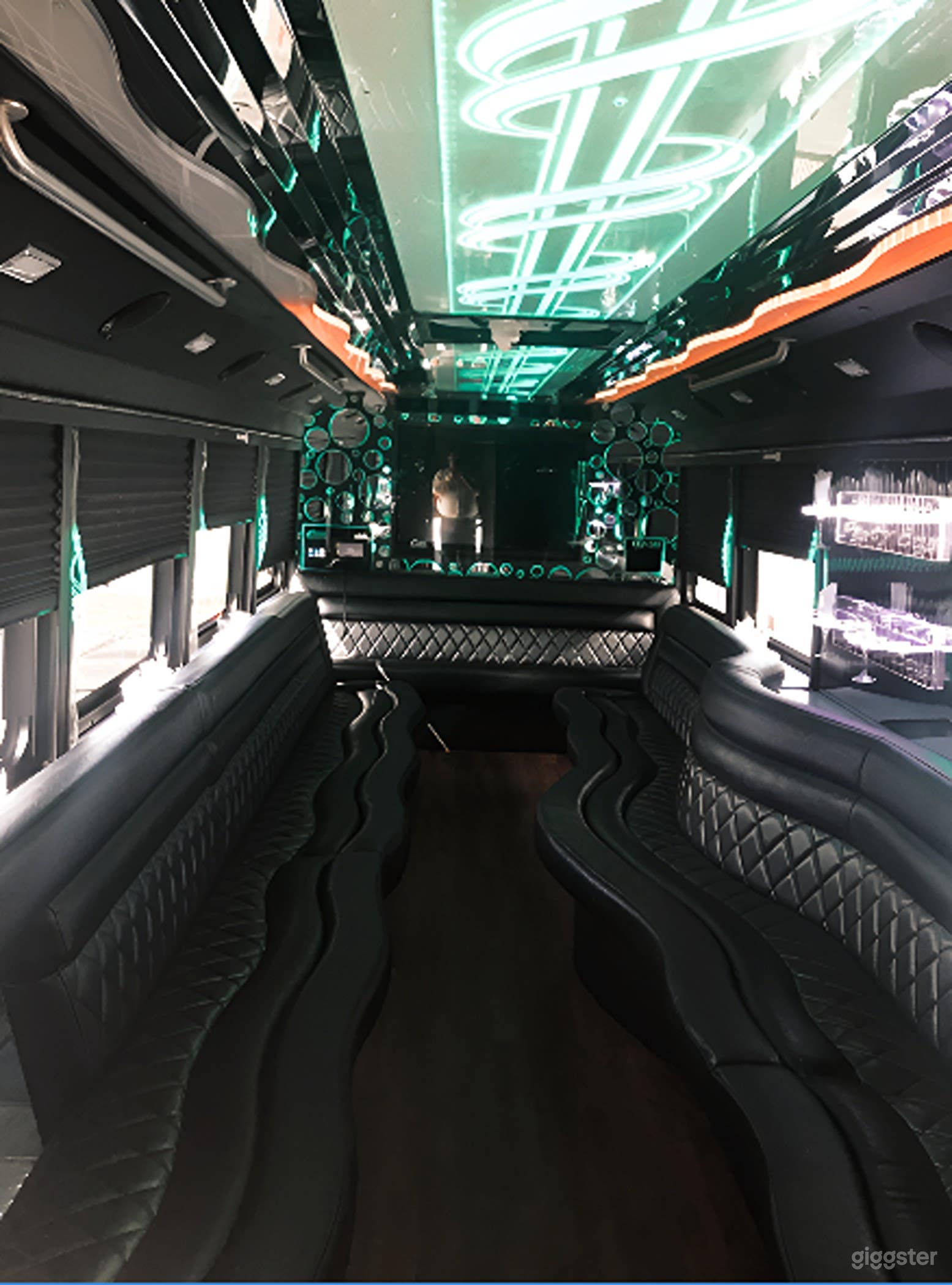 Gorgeous 30 Passenger Party Bus Photo 2