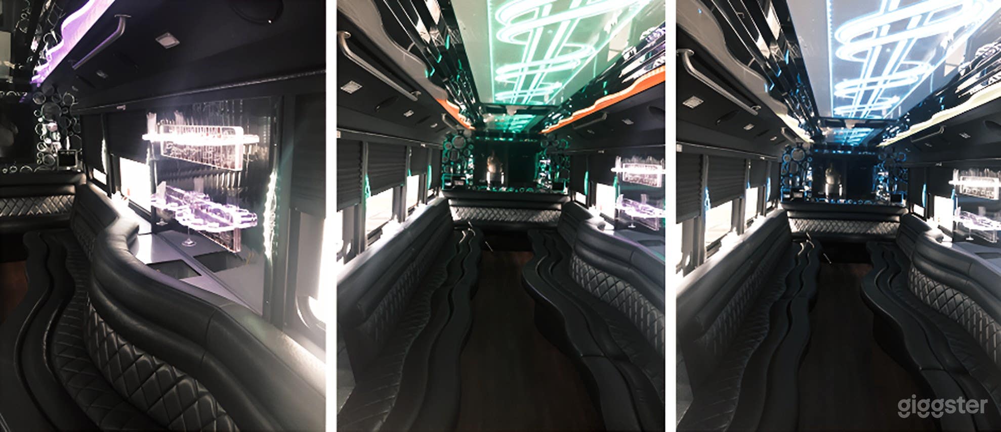 Gorgeous 30 Passenger Party Bus Photo 1