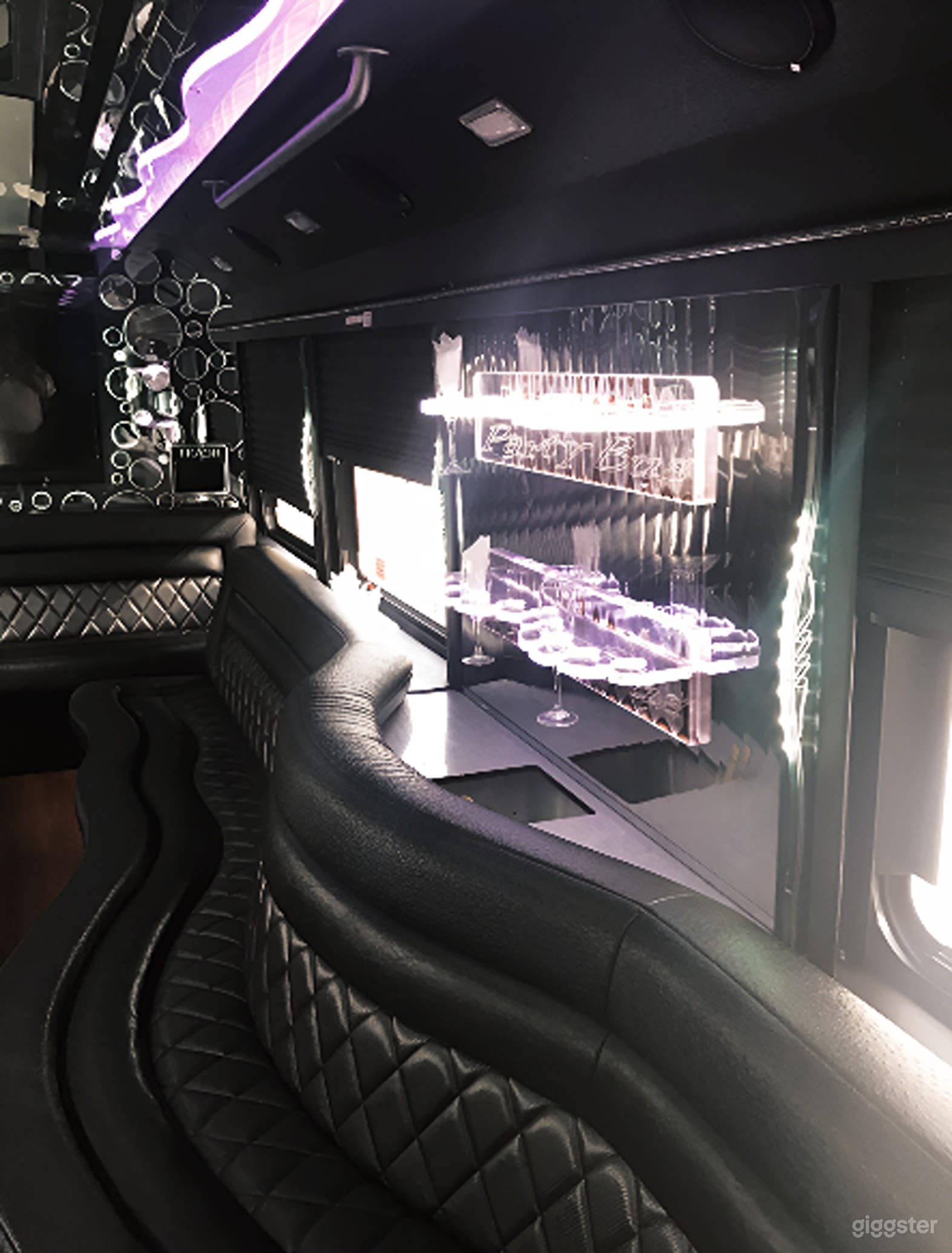 Gorgeous 30 Passenger Party Bus Photo 3