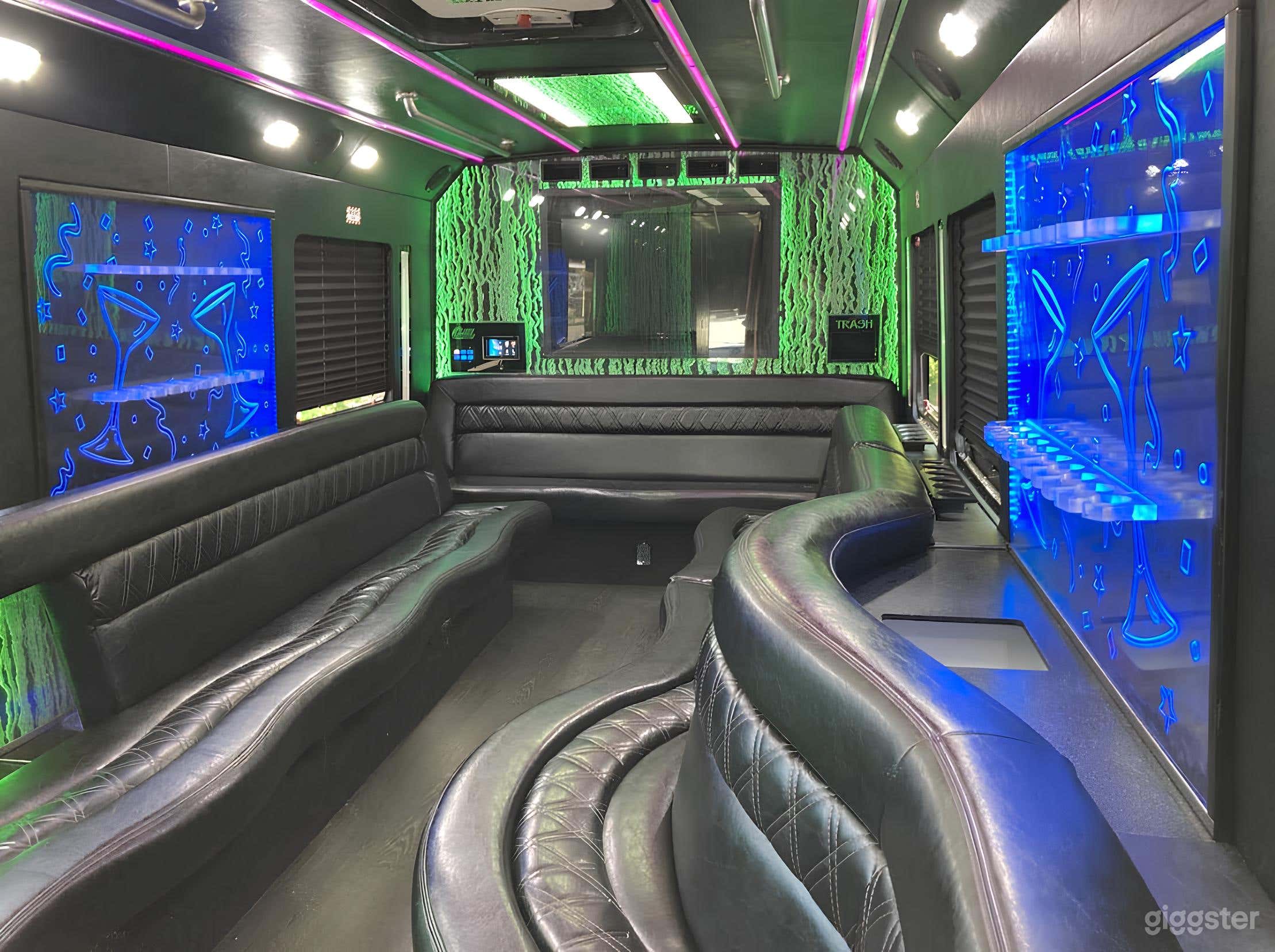 Luxury Party Bus for 25 People (with Bathroom) Photo 3