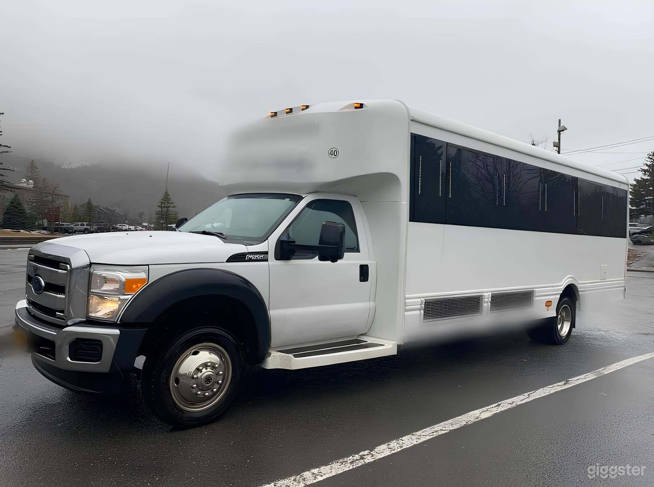 Luxury Party Bus for 25 People (with Bathroom) Photo 1