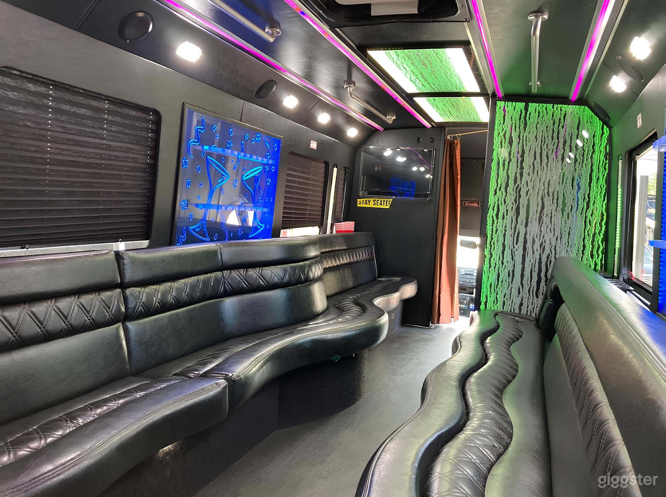 Luxury Party Bus for 25 People (with Bathroom) Photo 4
