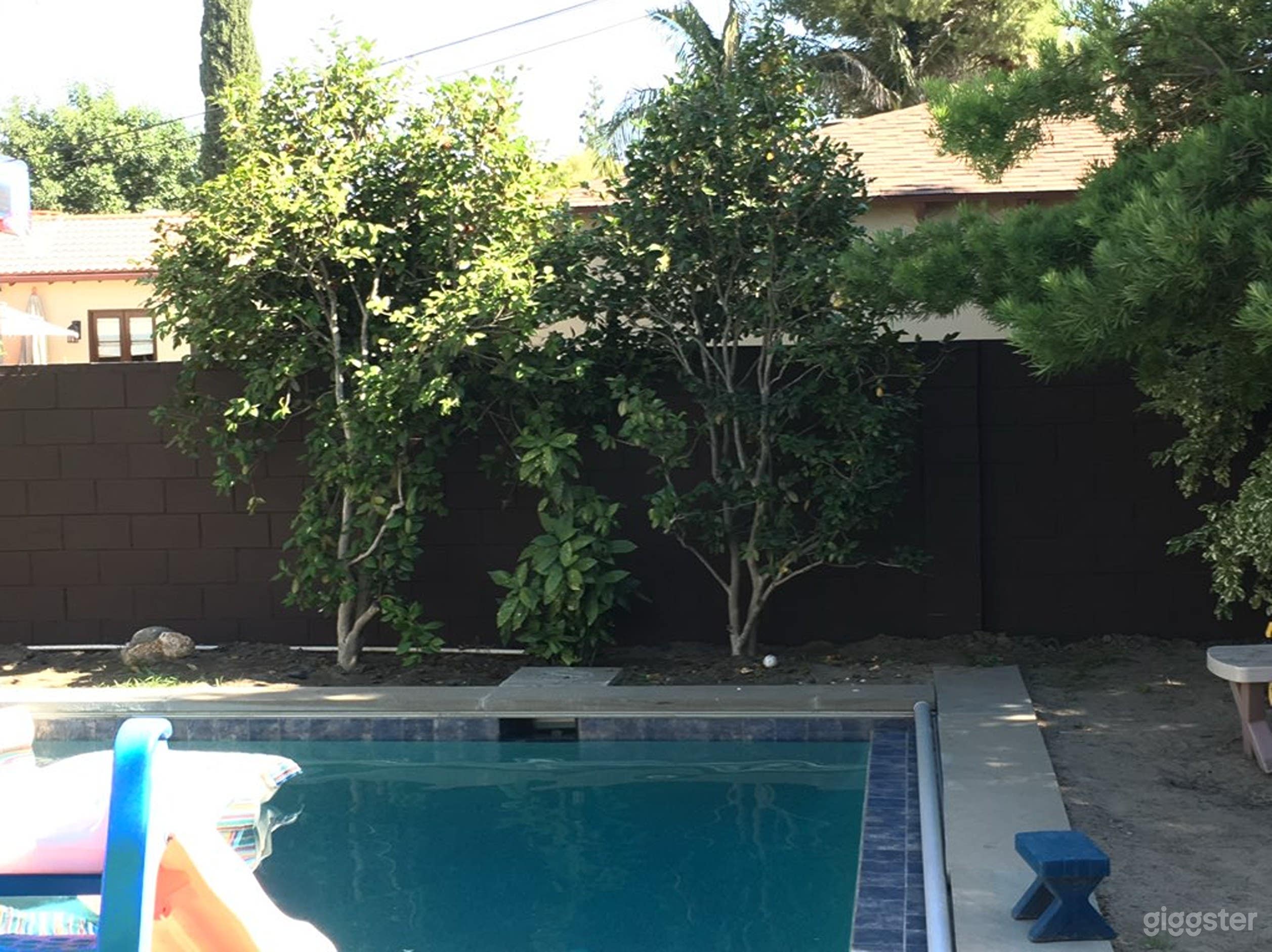 Stunning Outdoor Rectangular Pool  Photo 4