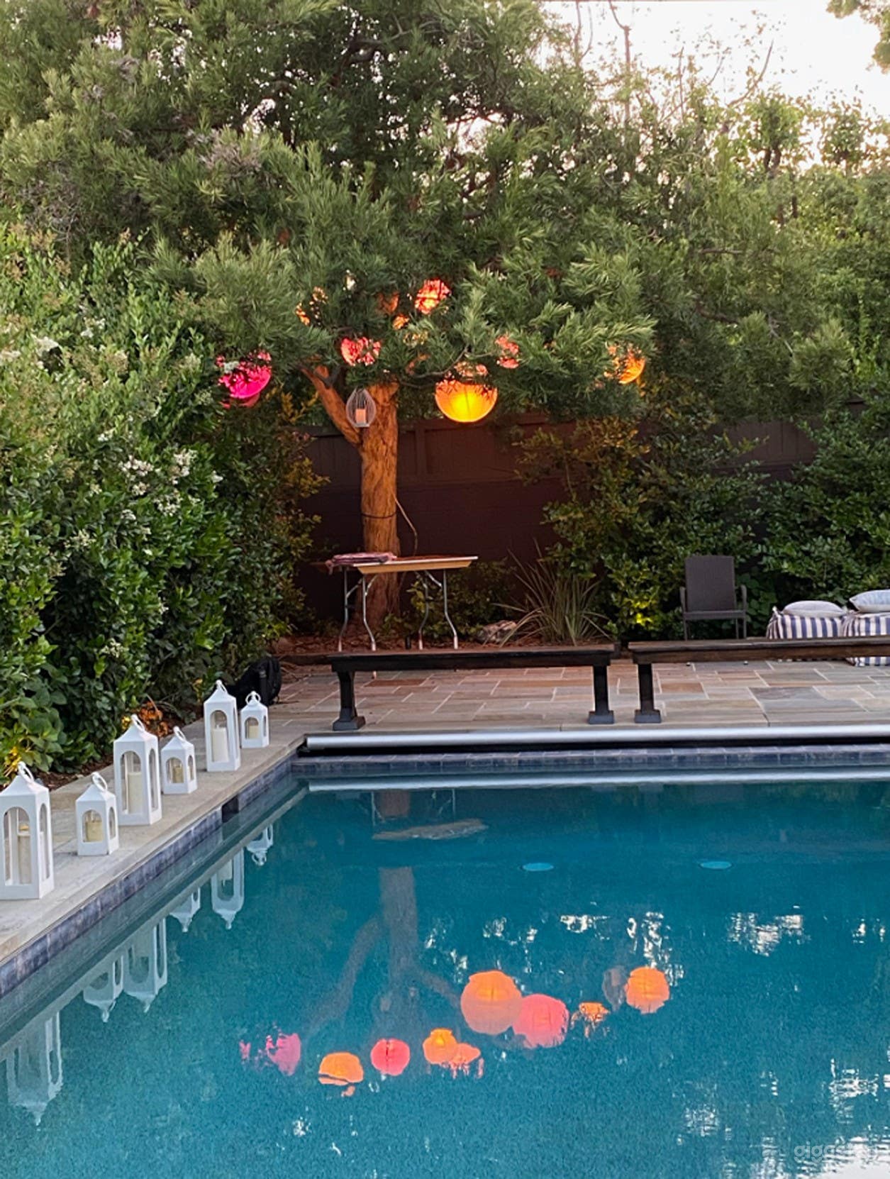 Stunning Outdoor Rectangular Pool  Photo 2