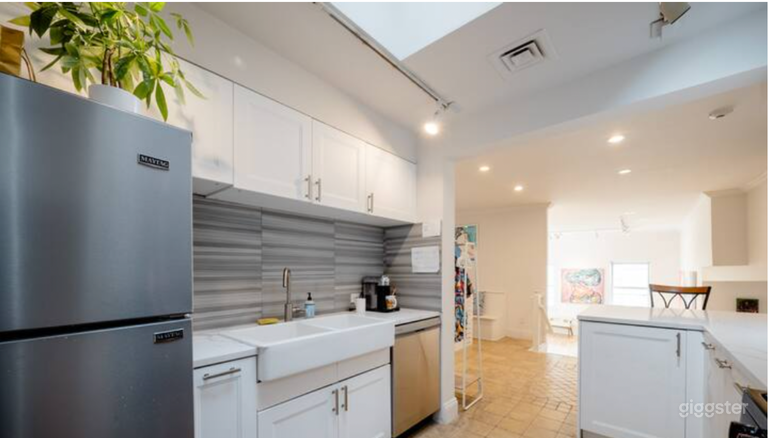  3500 square ft 4 br 3 ba Art Gallery Penthouse. Private rooftop. 