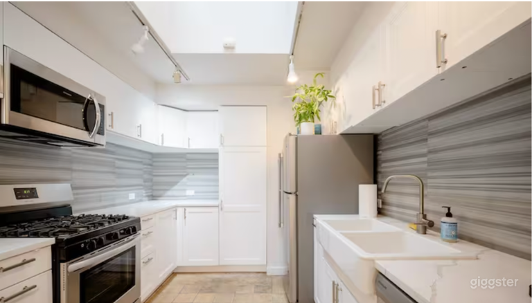  3500 square ft 4 br 3 ba Art Gallery Penthouse. Private rooftop. 