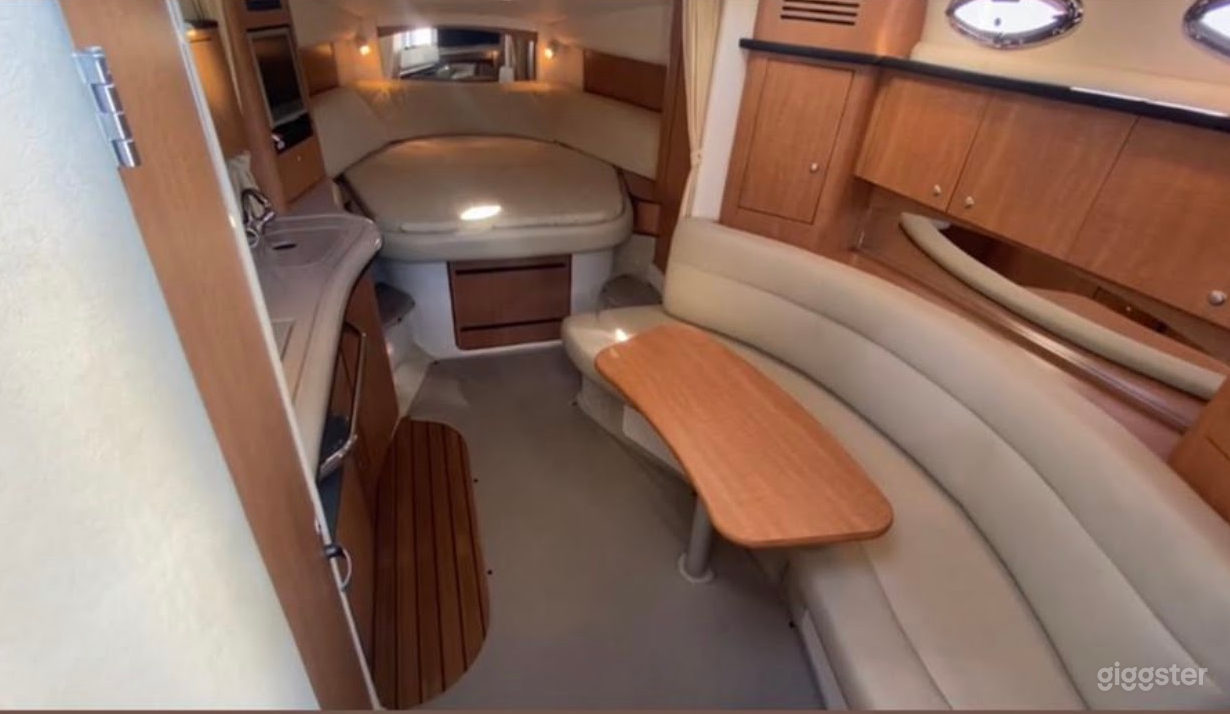 Charming 35FT Sea Ray Reinier Party Boat Space Events Photo 4