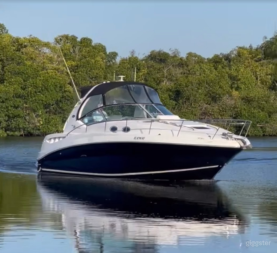 Charming 35FT Sea Ray Reinier Party Boat Space Events Photo 2