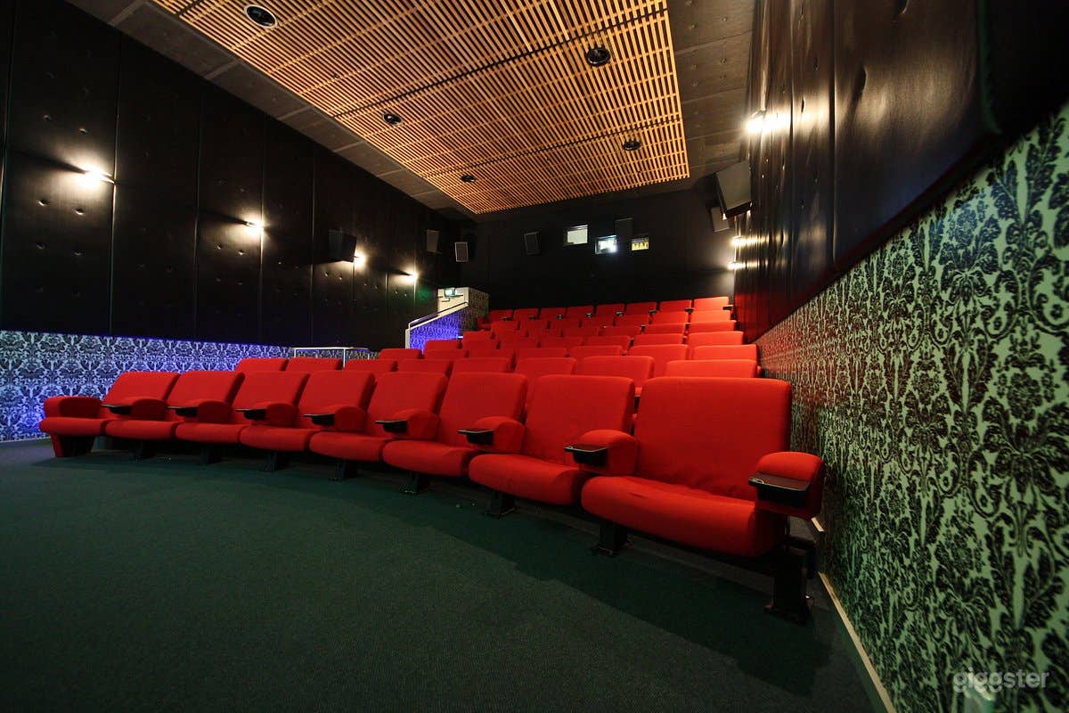 Cinema and Classy Bar Whole Venue Hire in Te Anau Photo 2