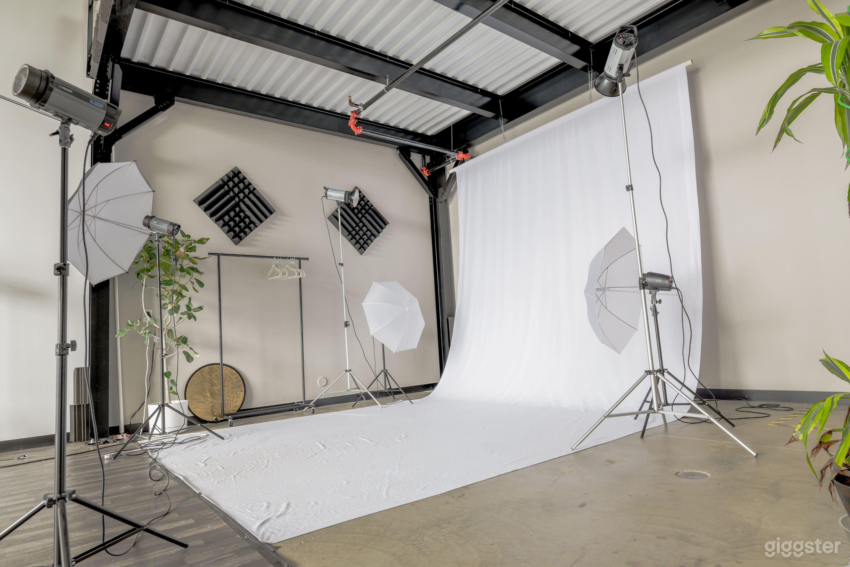 1,100sqft Drive-In Studio | 24ft Ceilings | 17x24 Door Photo 3