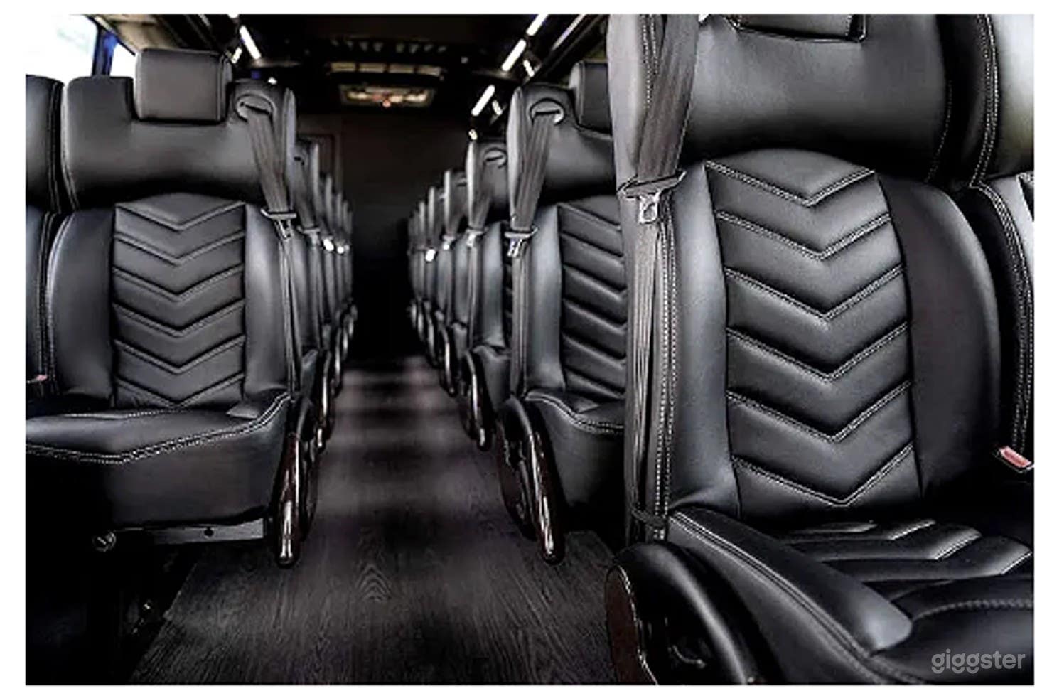 Modern Mini Coach Bus Photo 3