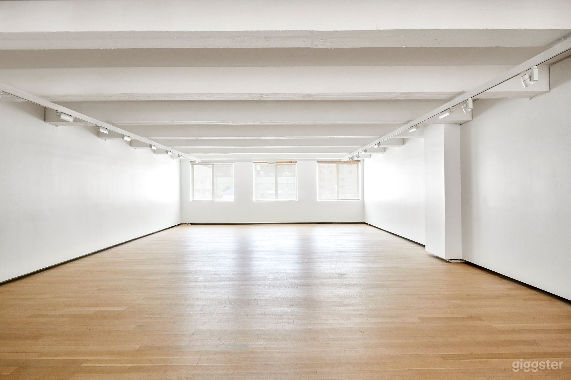 Four Story Gallery With Sculpture Garden Photo 2