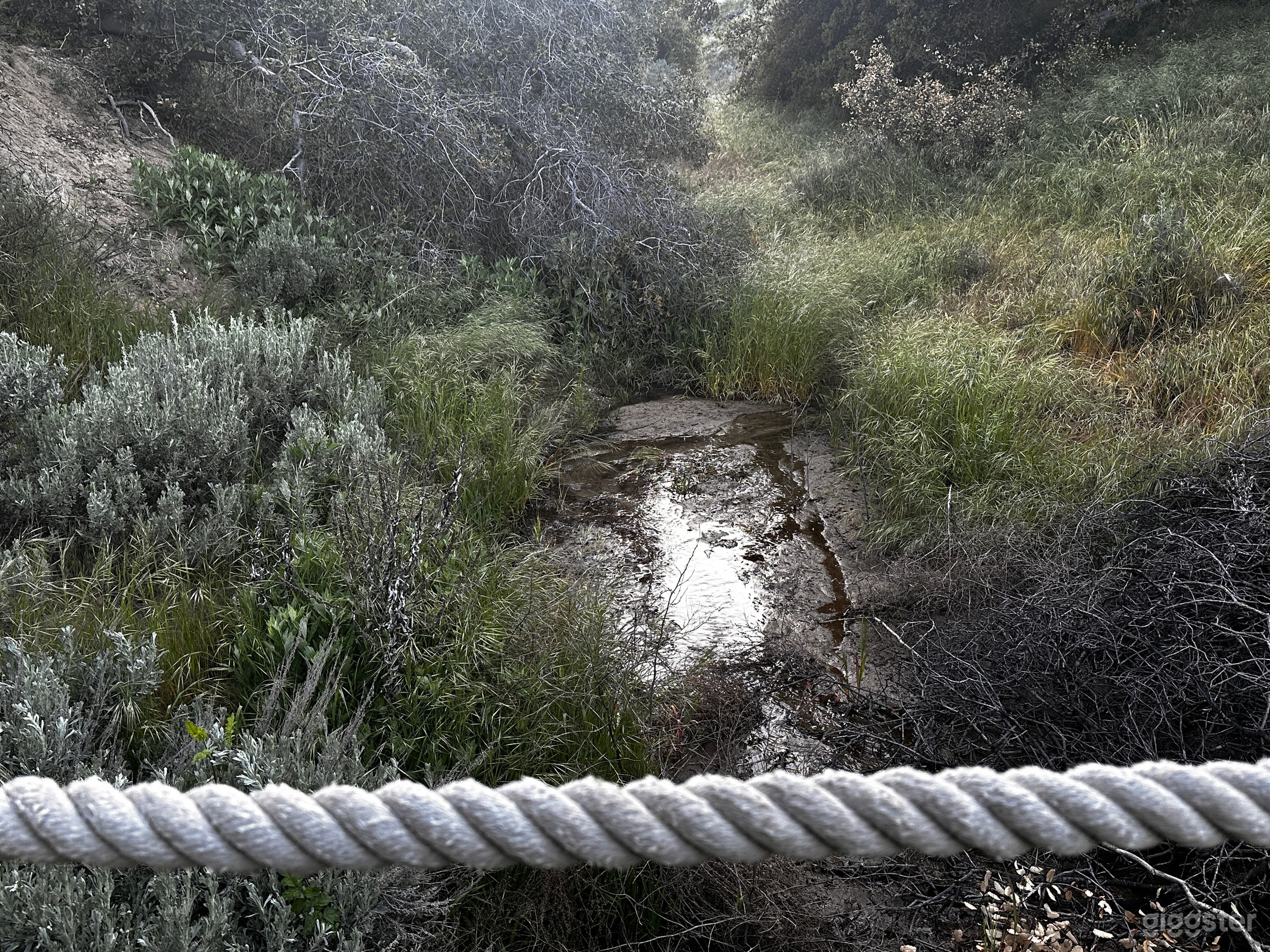 Seasonal Creekbed & Steep Riverbed Photo 2