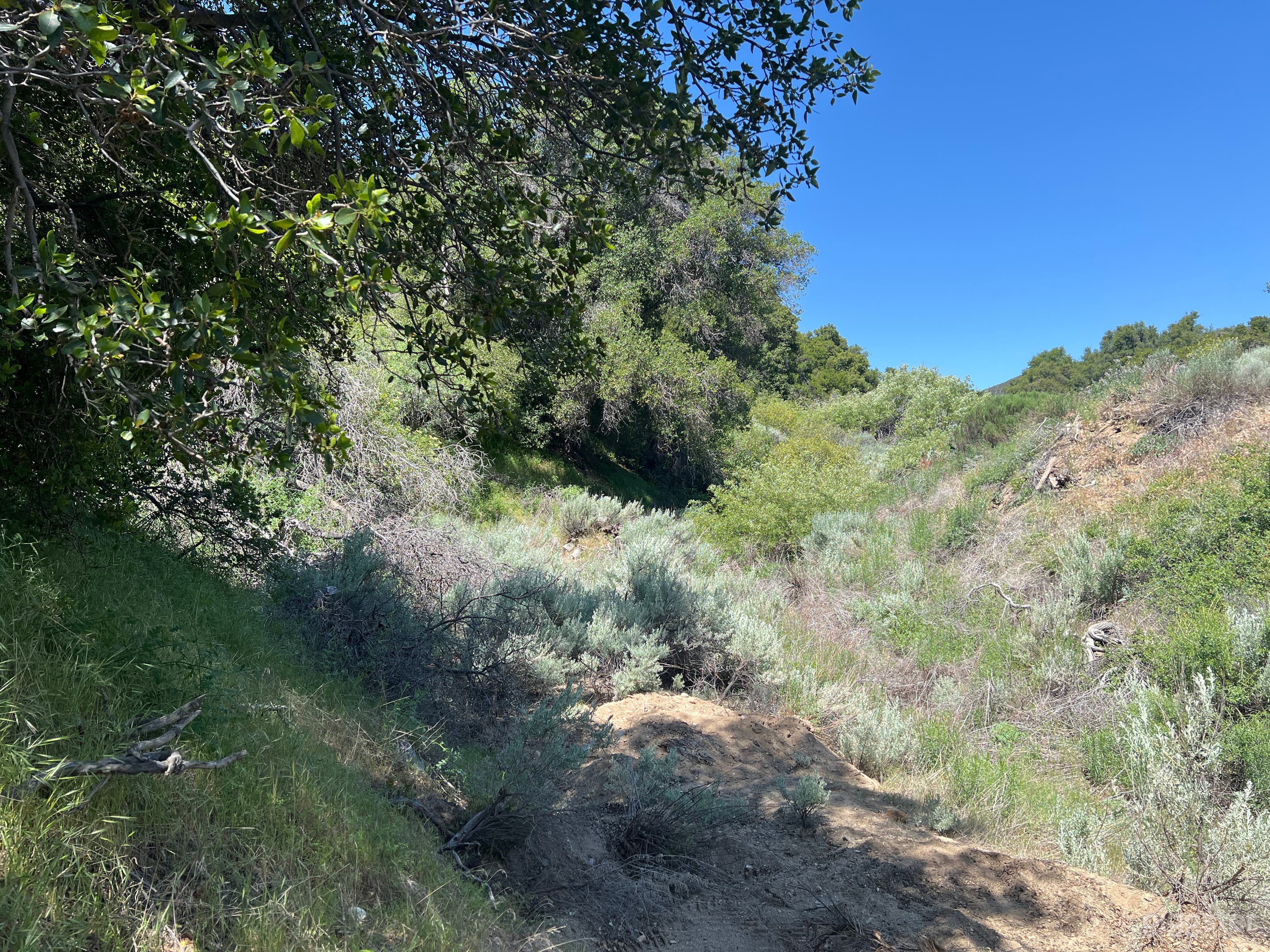 Seasonal Creekbed & Steep Riverbed Photo 3
